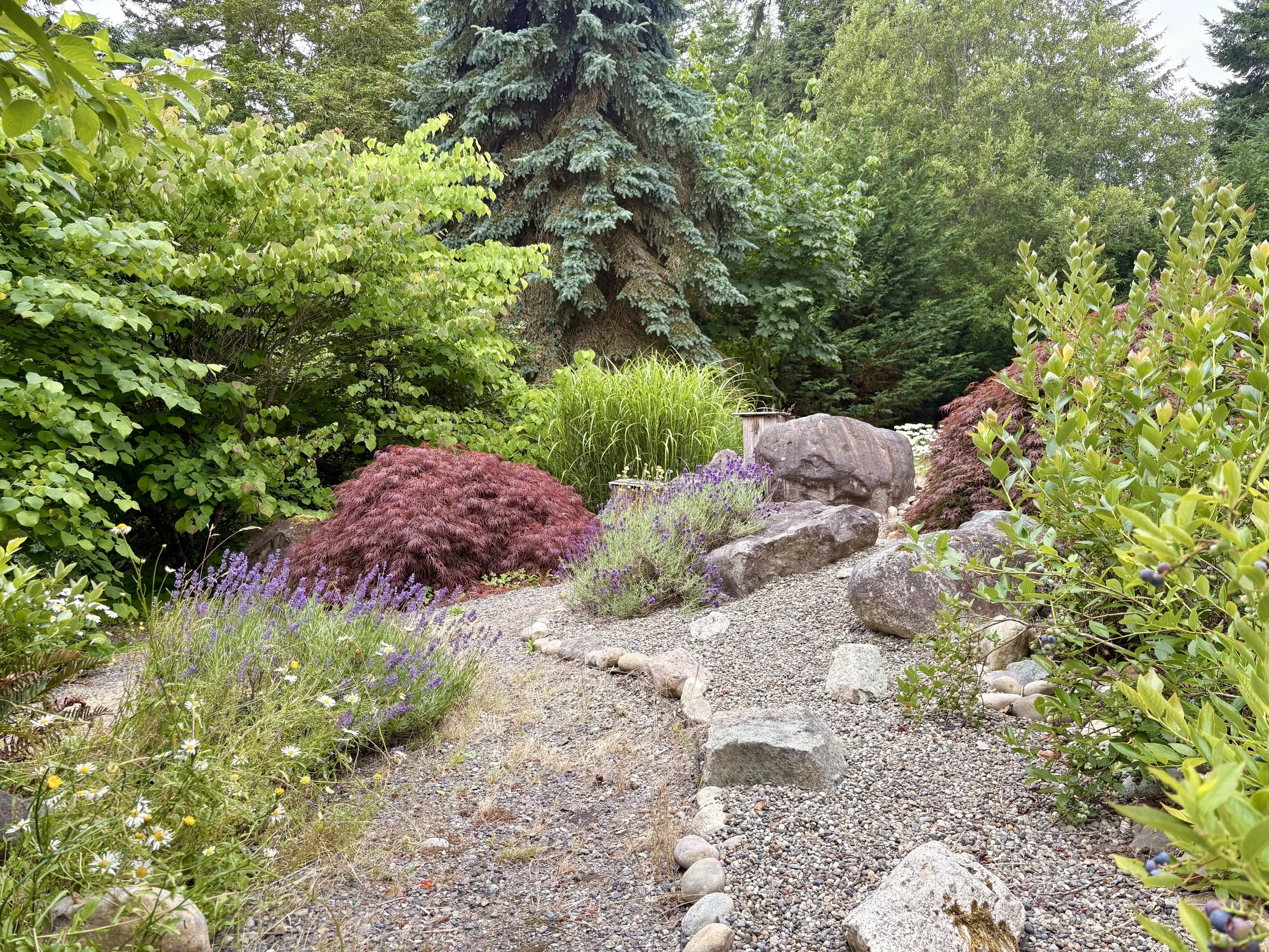 Thurston County Property with Land