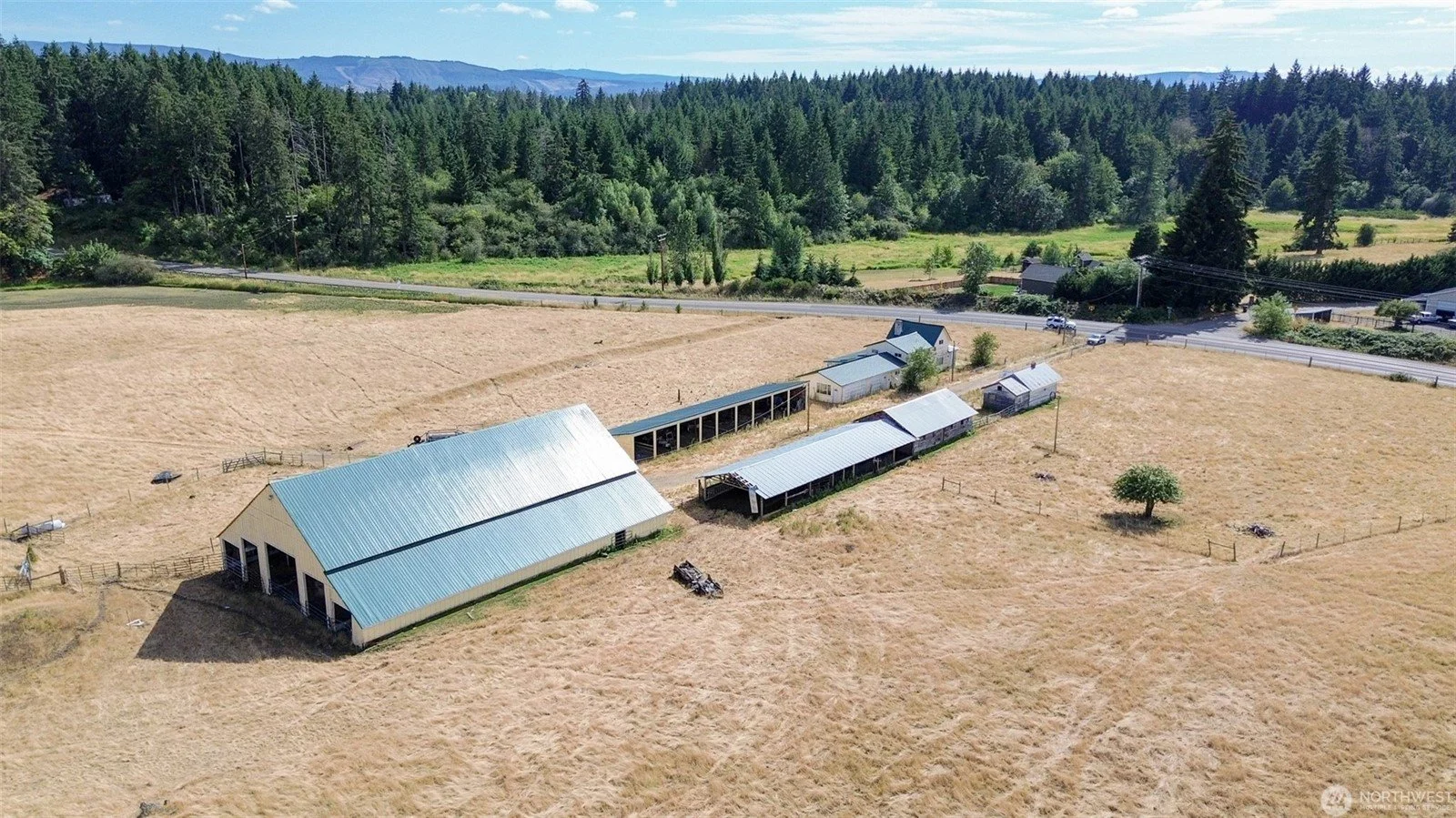 For Sale - Farm or Development Opportunity in Yelm, Wa.