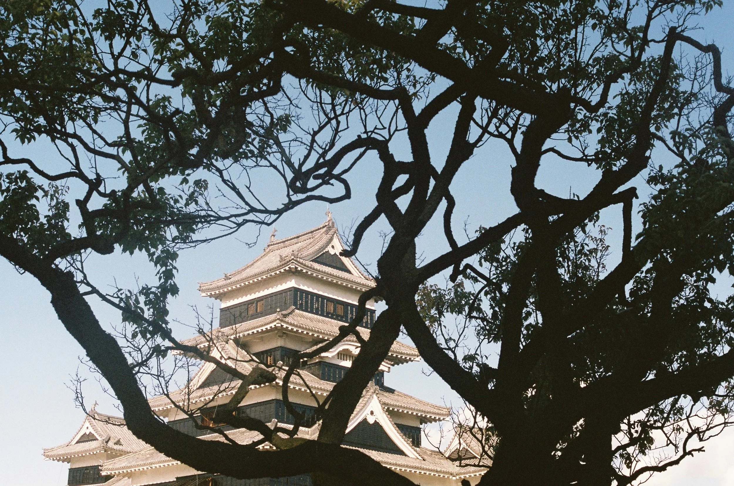 IMG_5370_Original copy.jpg