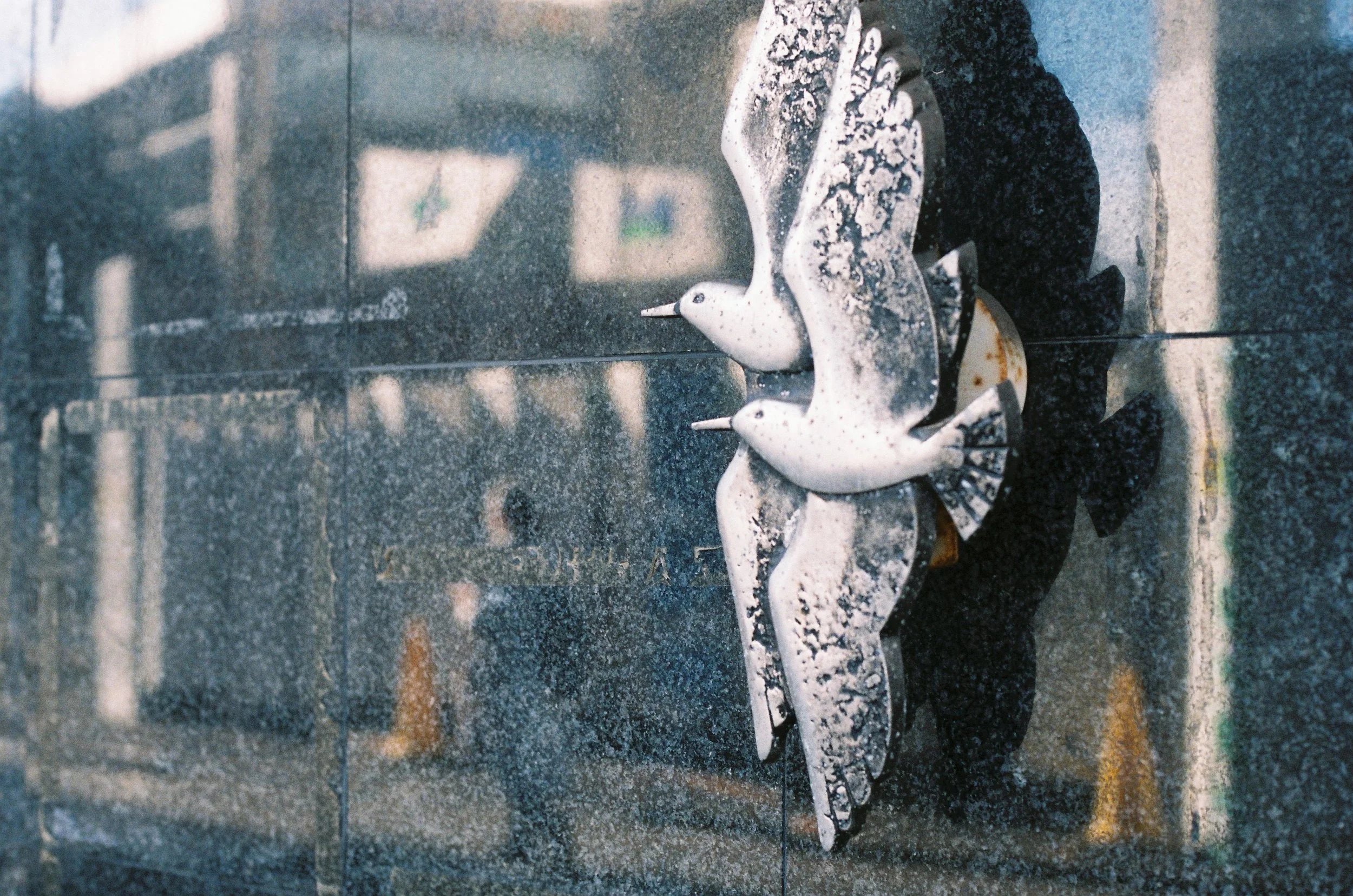 IMG_4490_Original copy.jpg