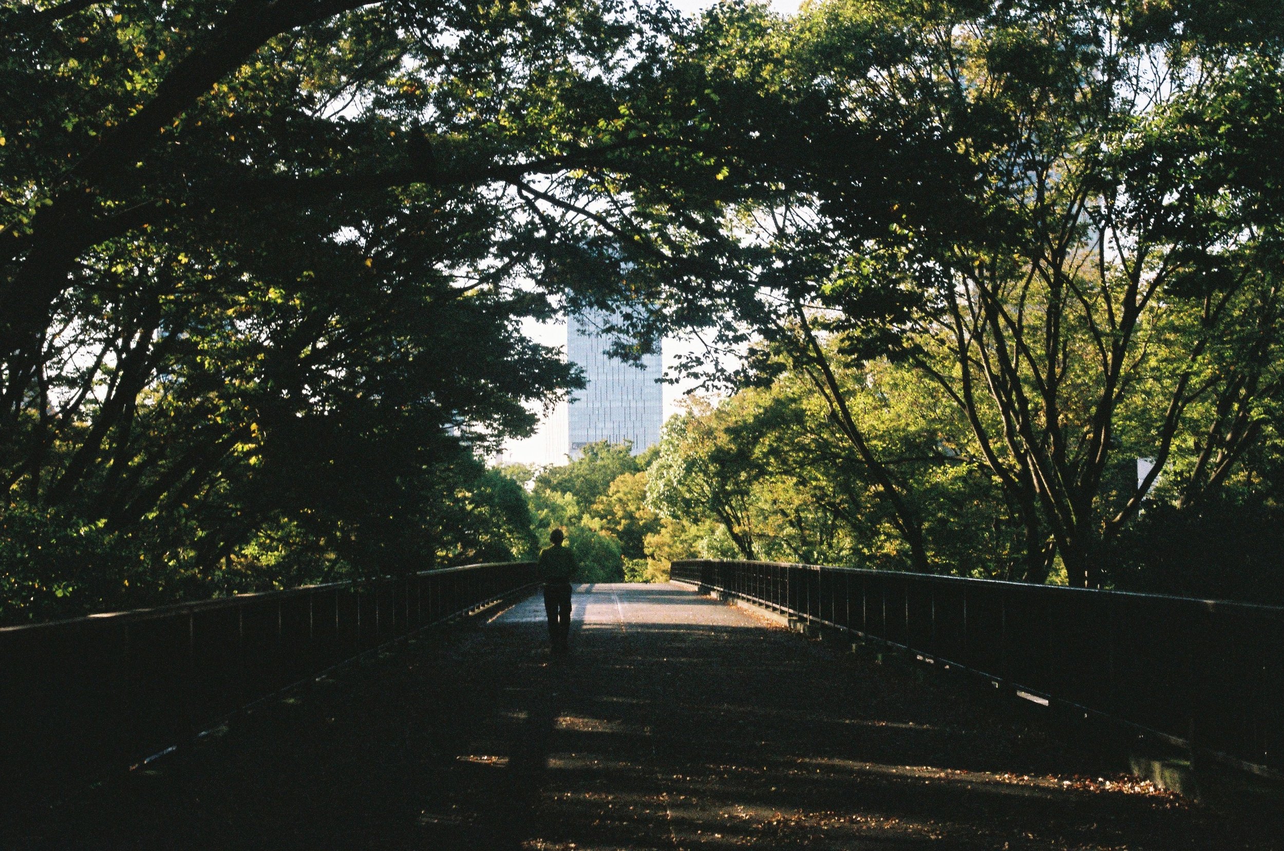 IMG_3676_Original copy.jpg