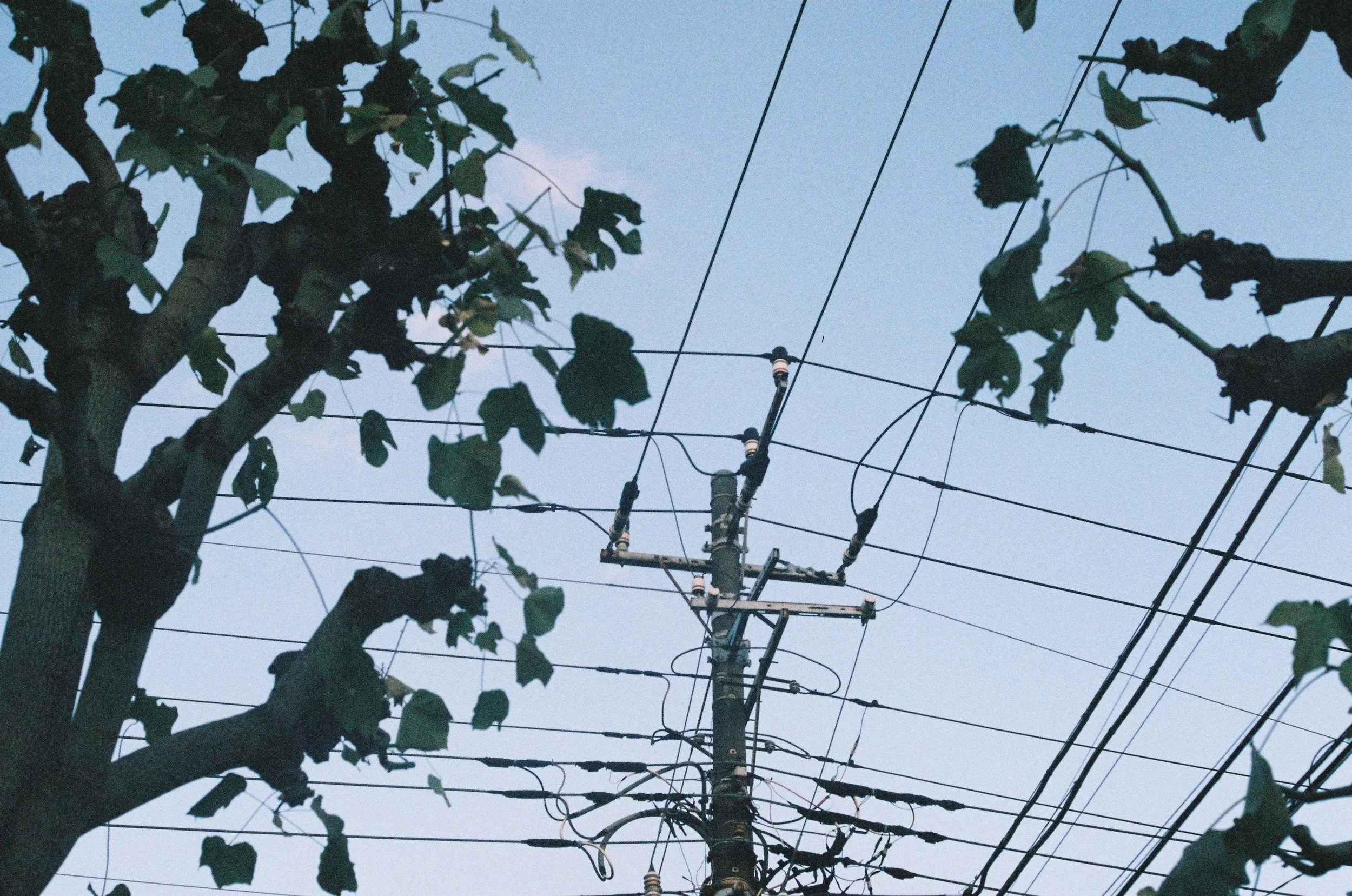 IMG_5378_Original copy.jpg