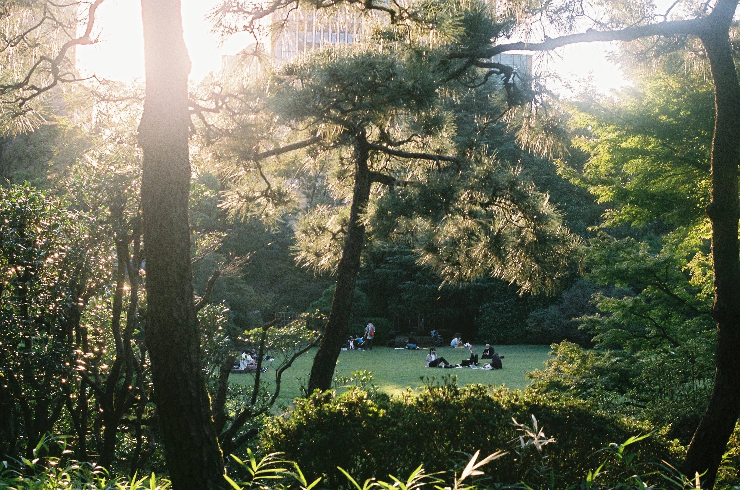 IMG_4489_Original copy 2.jpg