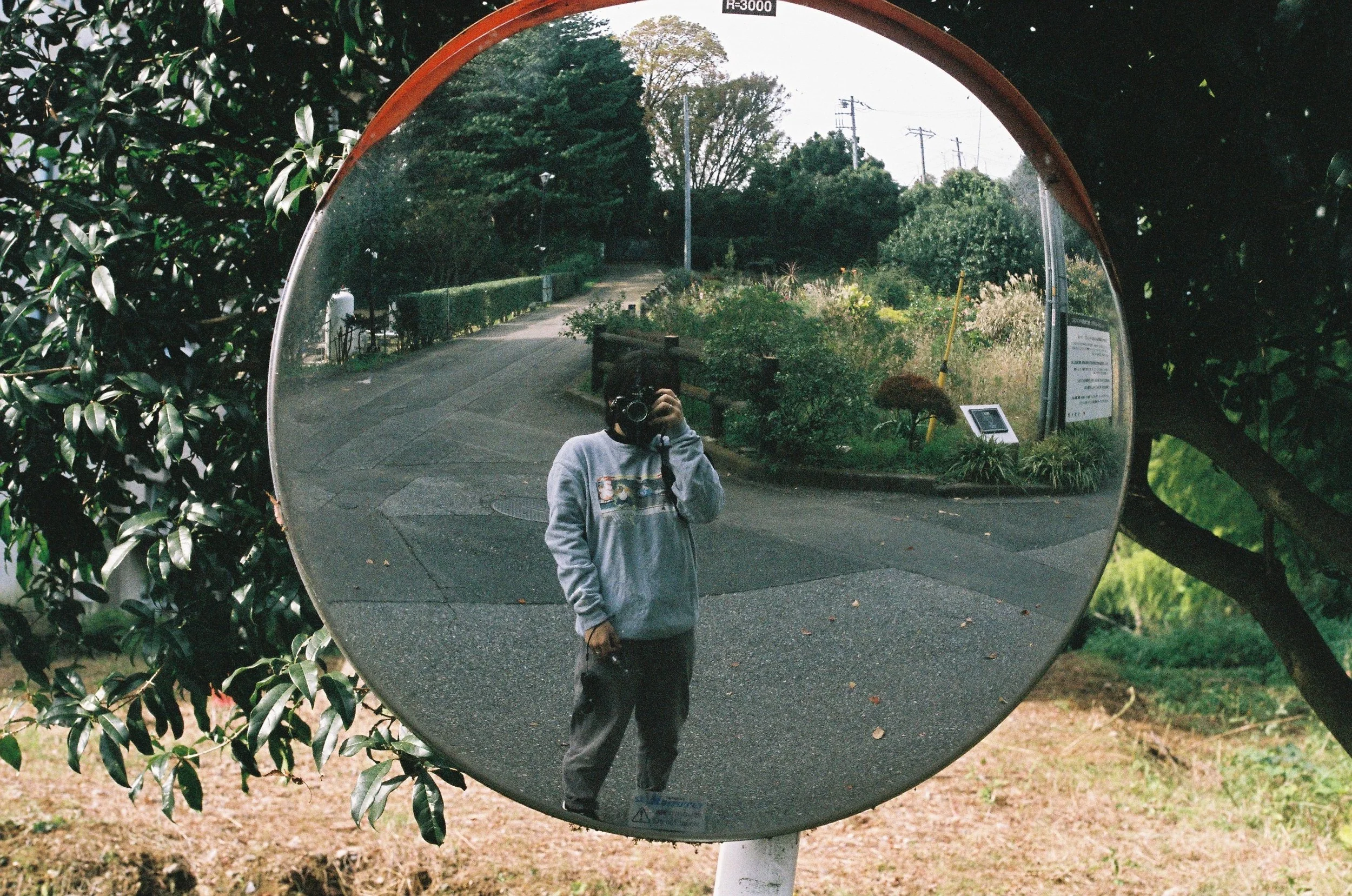 IMG_5937_Original copy.jpg