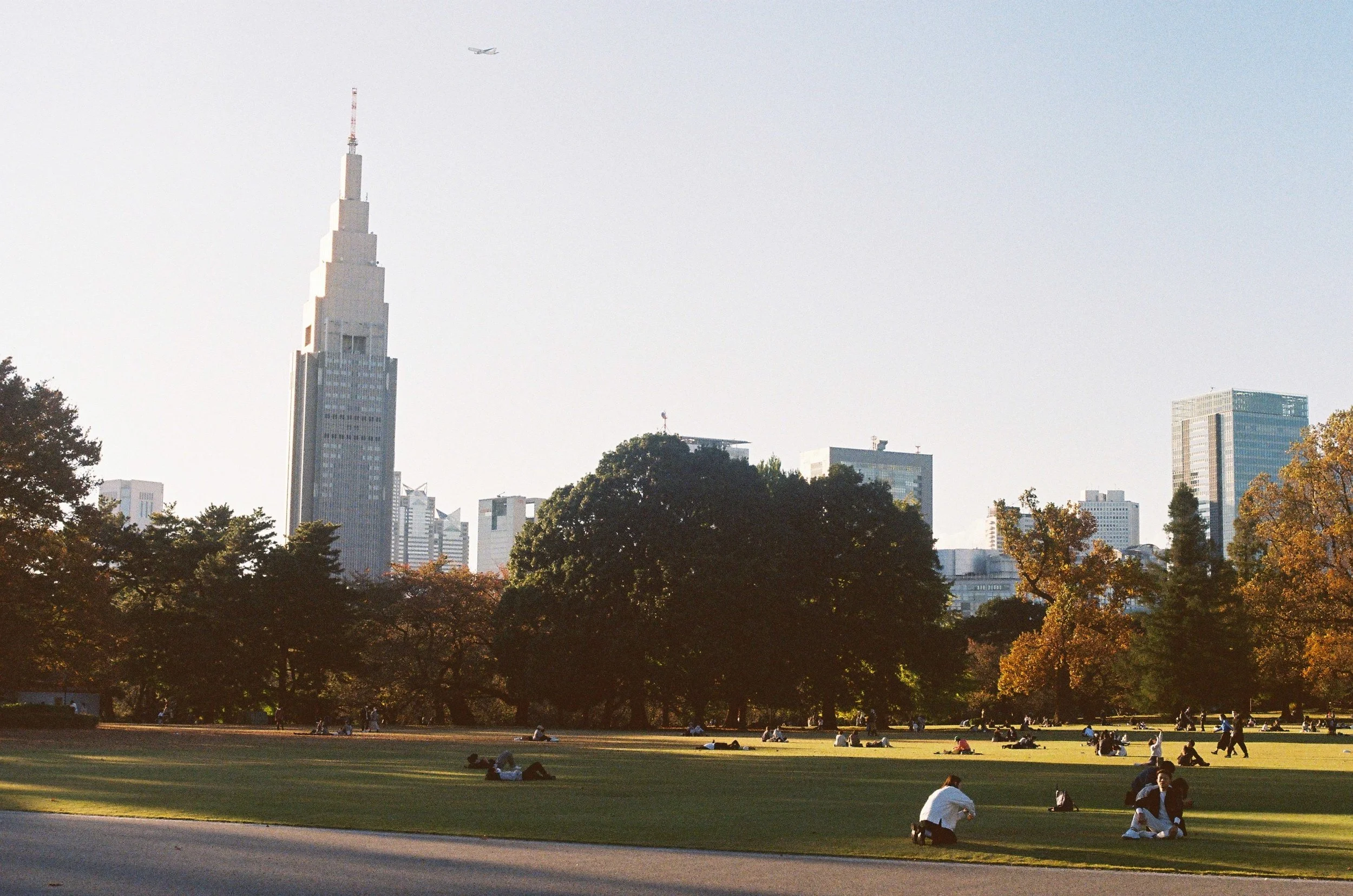 IMG_6571_Original copy.jpg