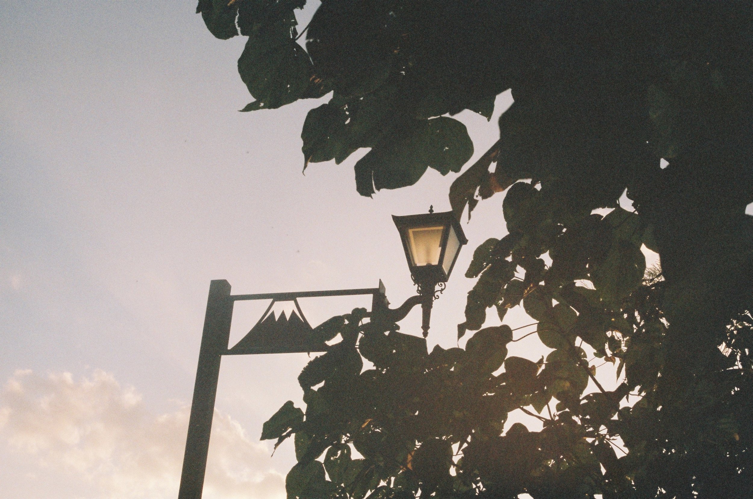 IMG_5364_Original copy.jpg