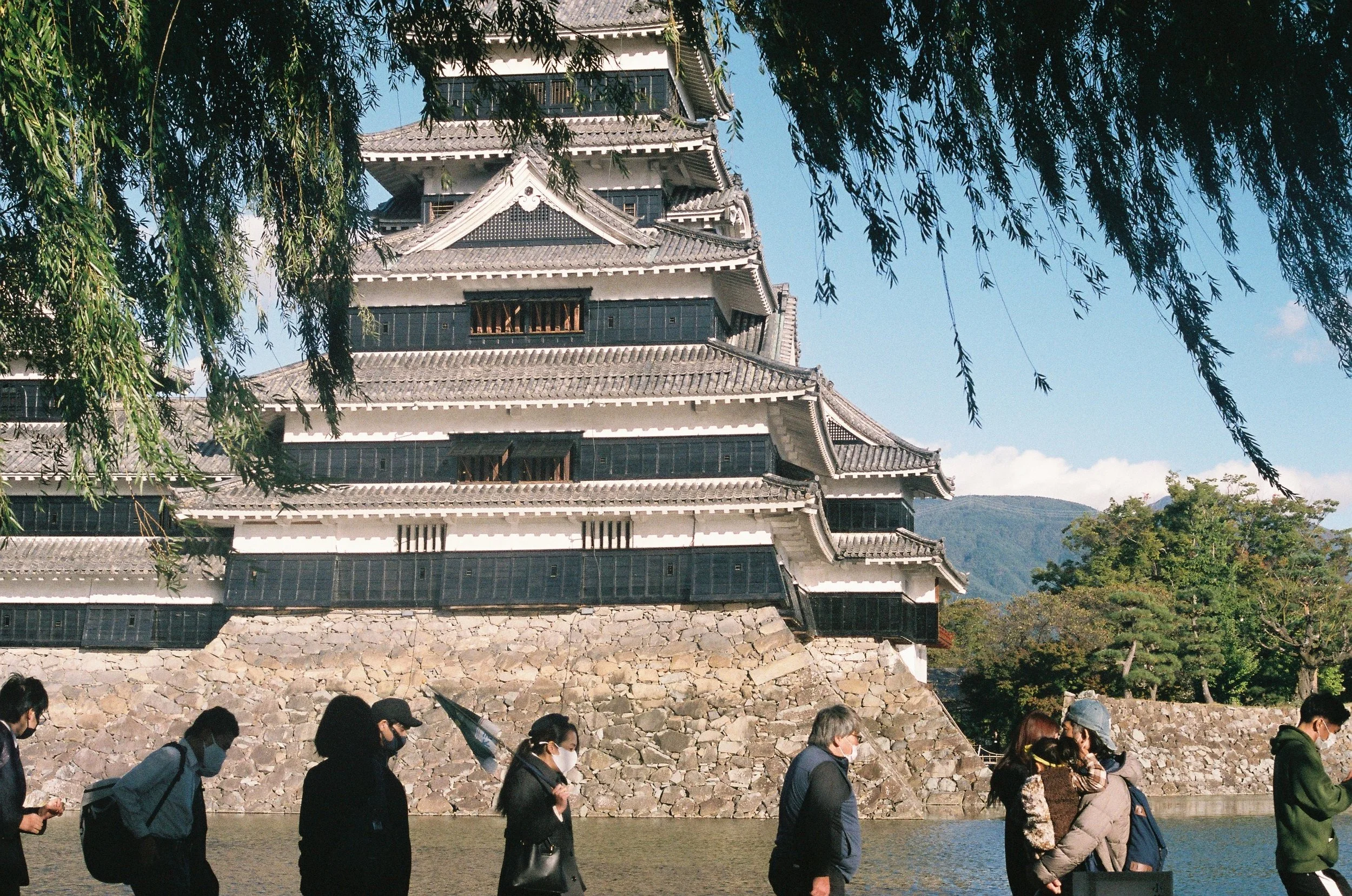 IMG_5384_Original copy.jpg