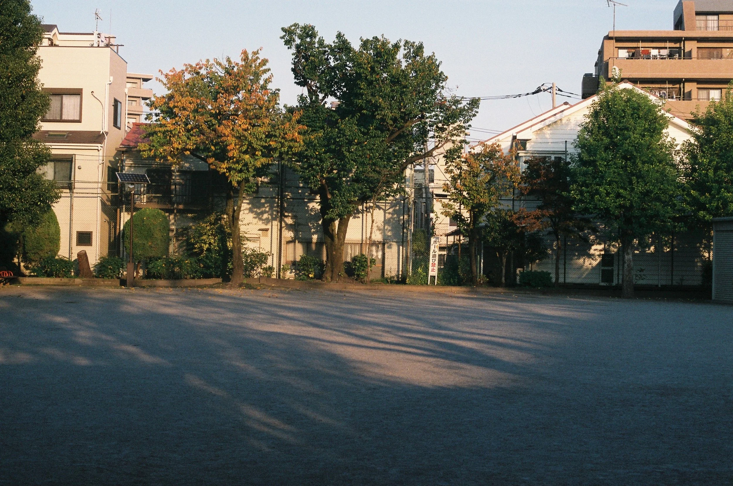 IMG_5373_Original copy.jpg