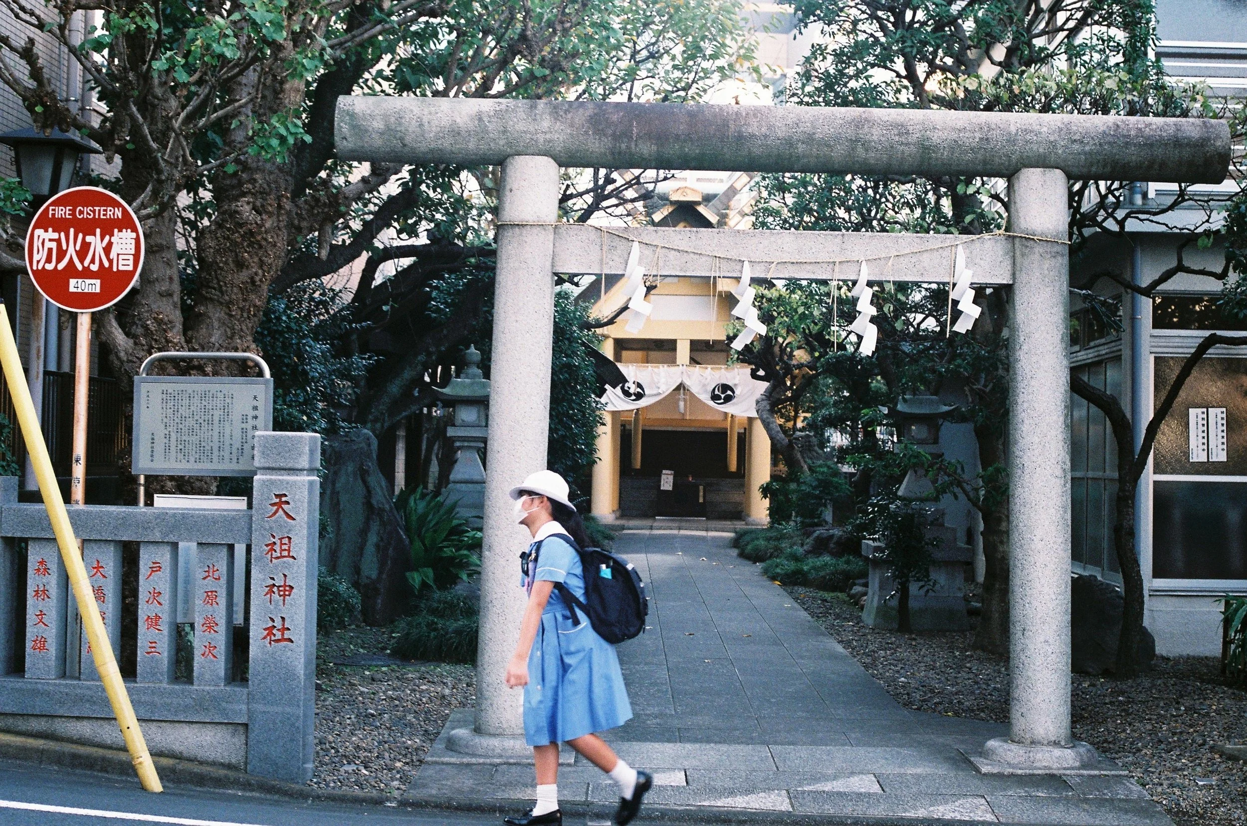 IMG_4487_Original 2 copy.jpg