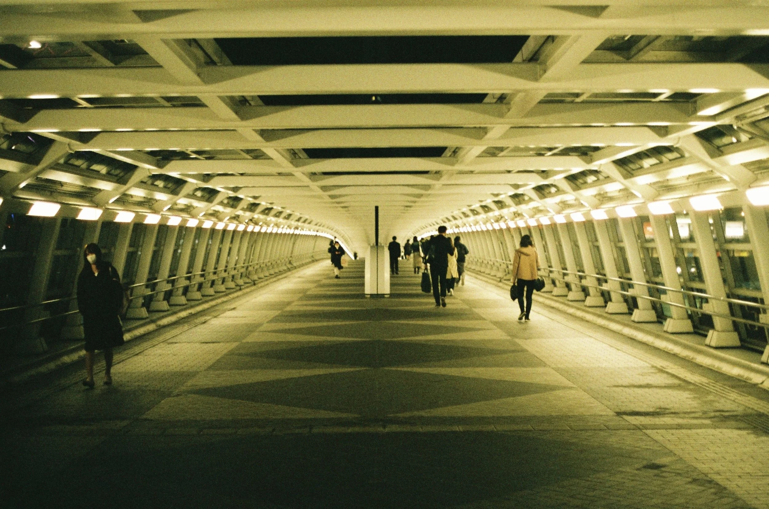 IMG_7967_Original copy.jpg