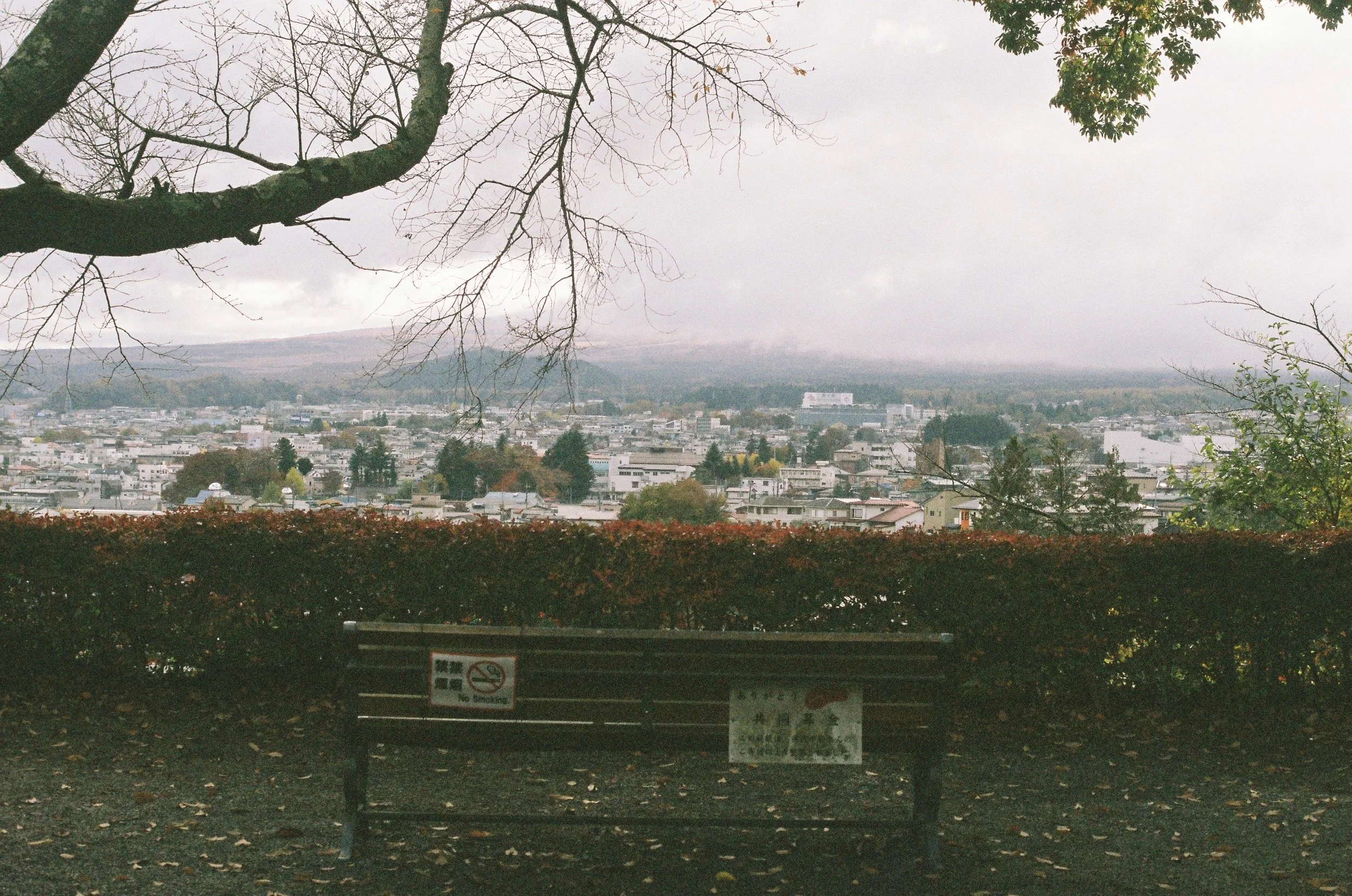 IMG_5934_Original copy.jpg