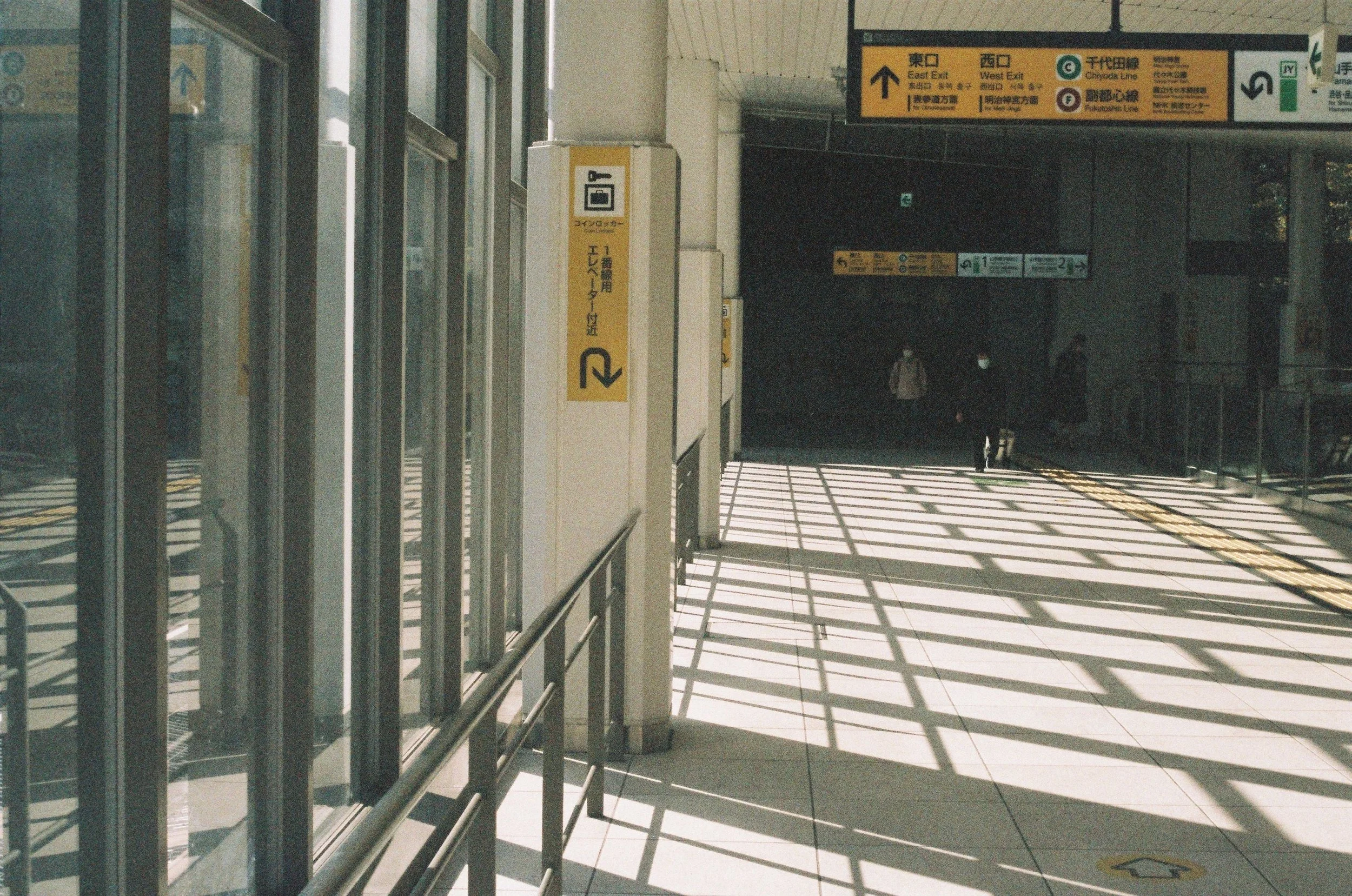 IMG_5916_Original copy.jpg