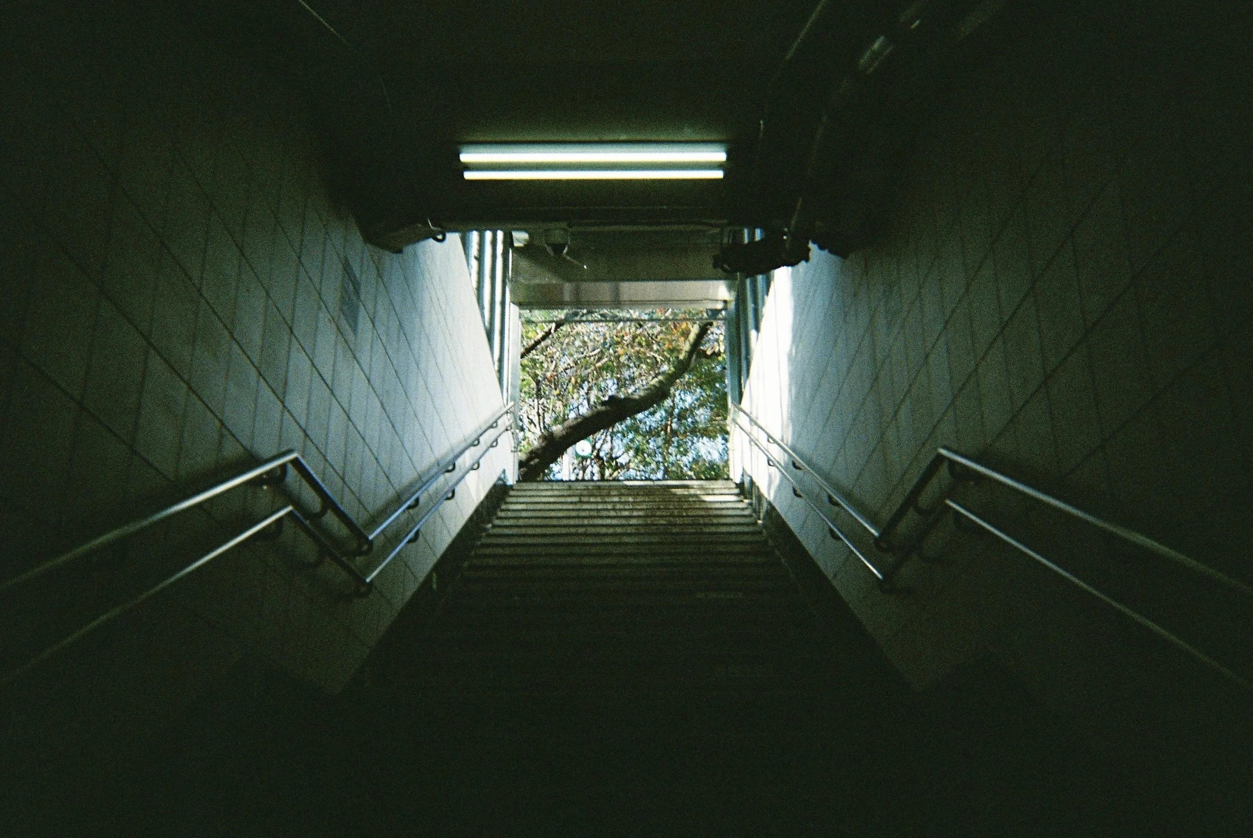 IMG_7938_Original copy.jpg