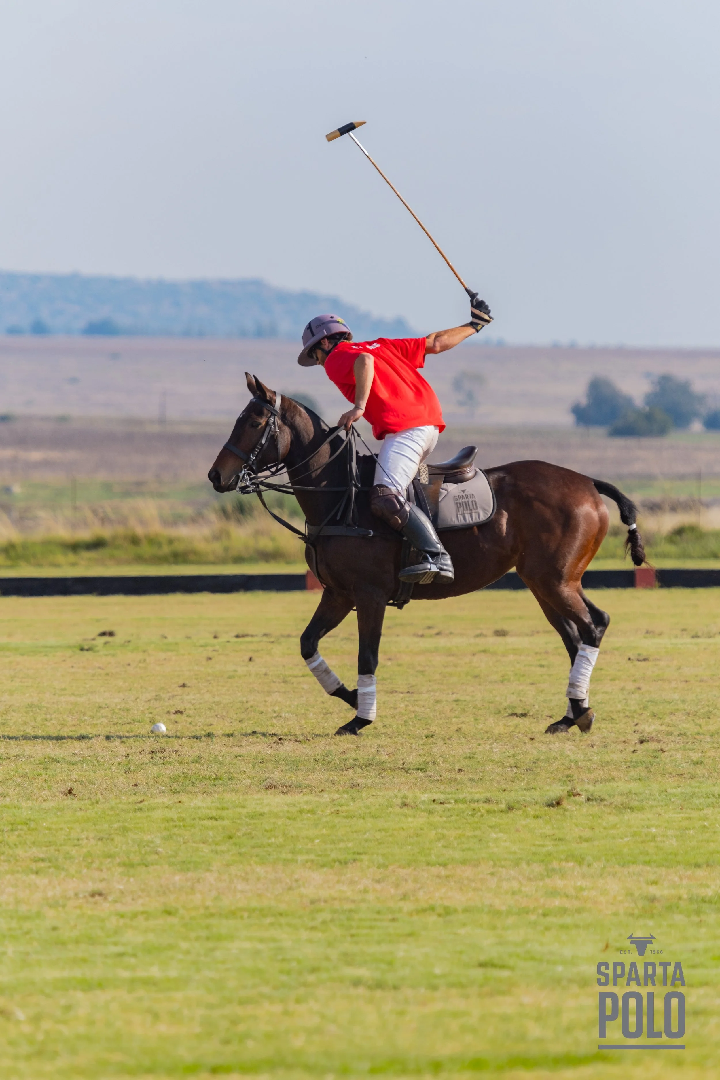 Sparta Polo-293.JPEG