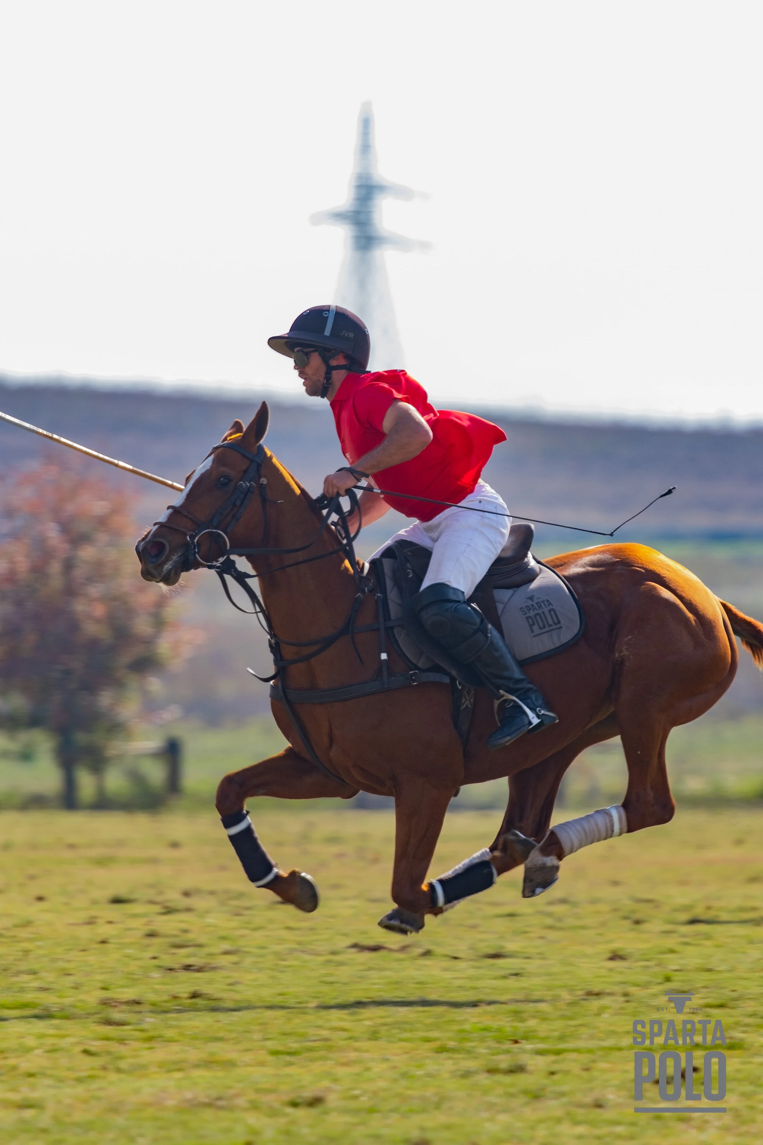 Sparta Polo-292.JPEG