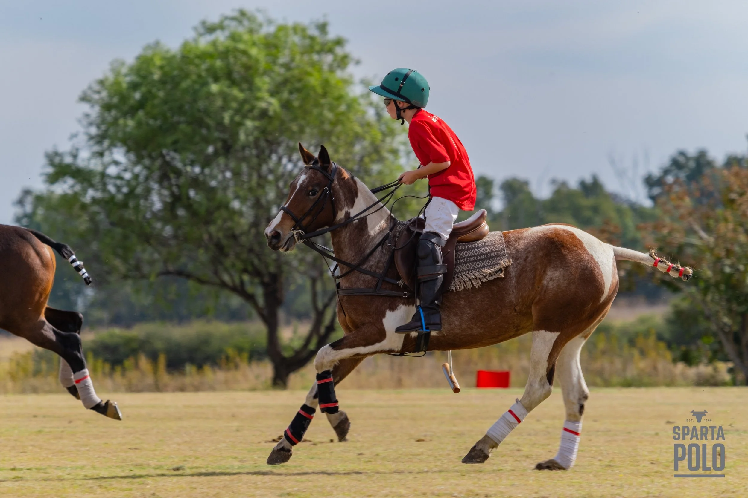 young polo player at sparta polo club on a polo pony in south africa