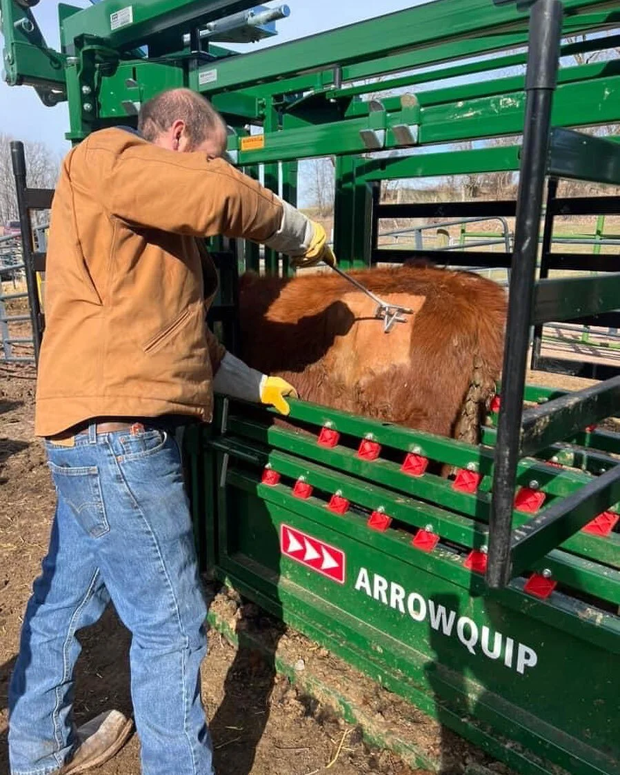 Pleasant View Farms Red Angus Beef & Livestock Somers, CT