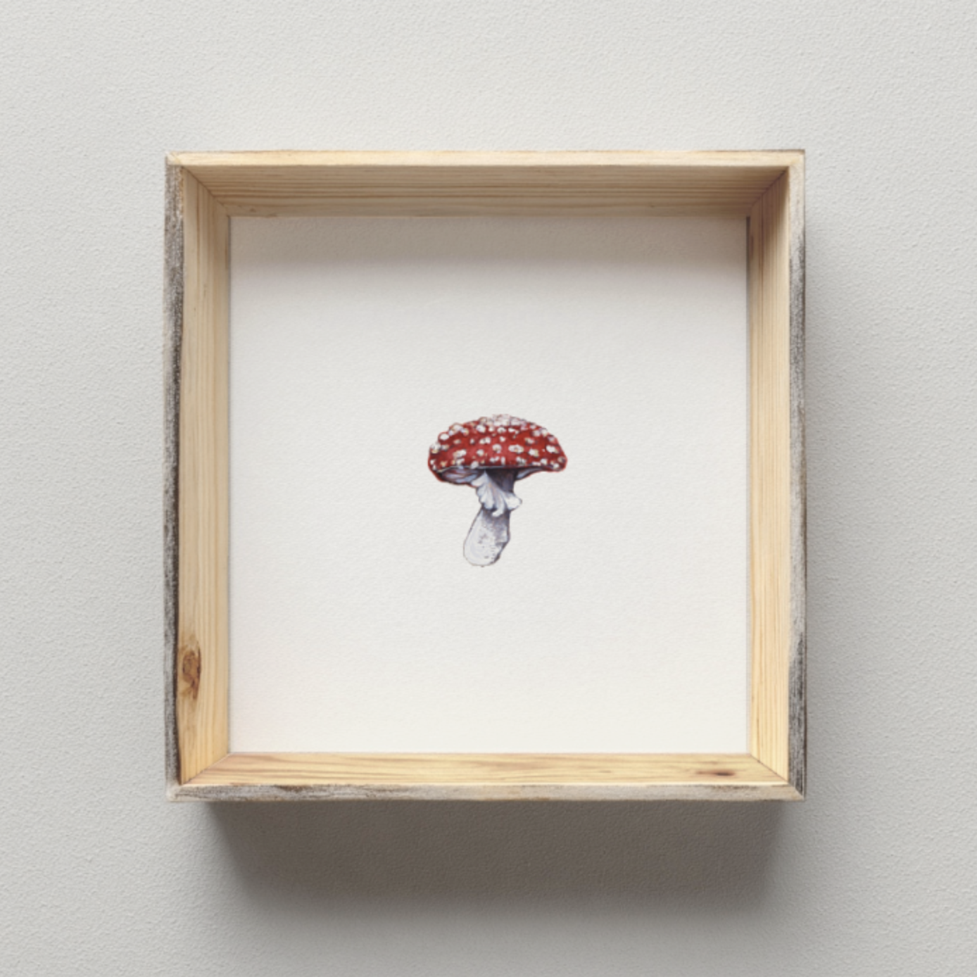 Screenshot 2026-02-09 at 1.00.07 PM.png