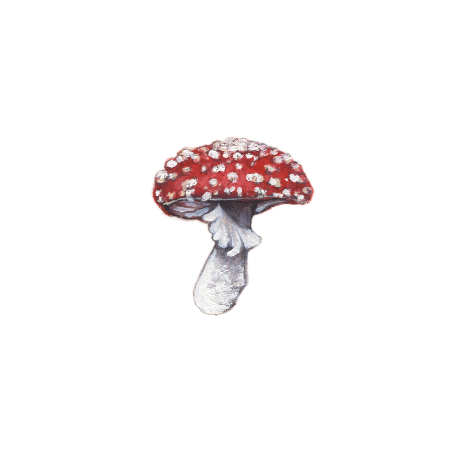 toadstool+PRINT.png