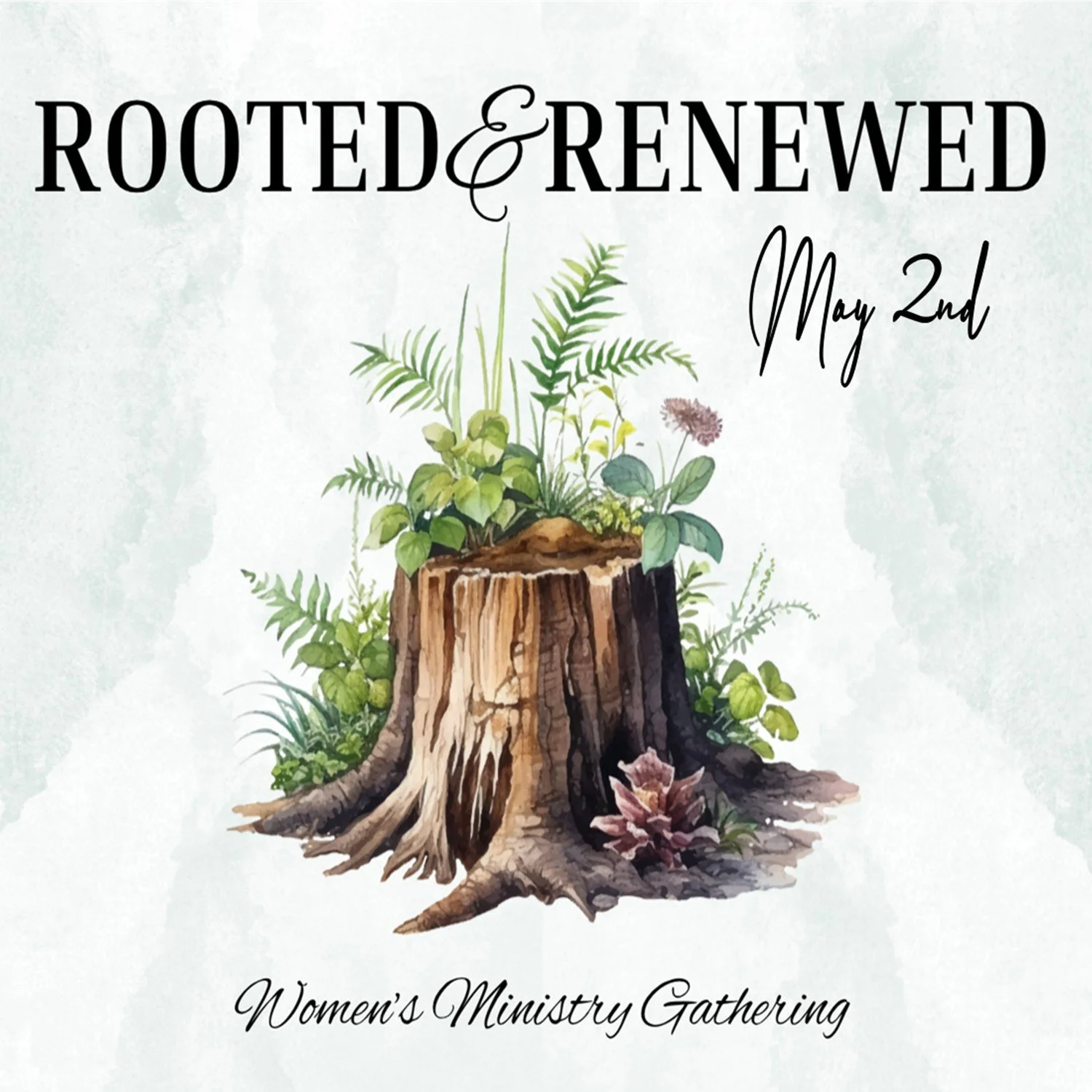 Rooted &amp; Renewed WOMEN'S GATHERING