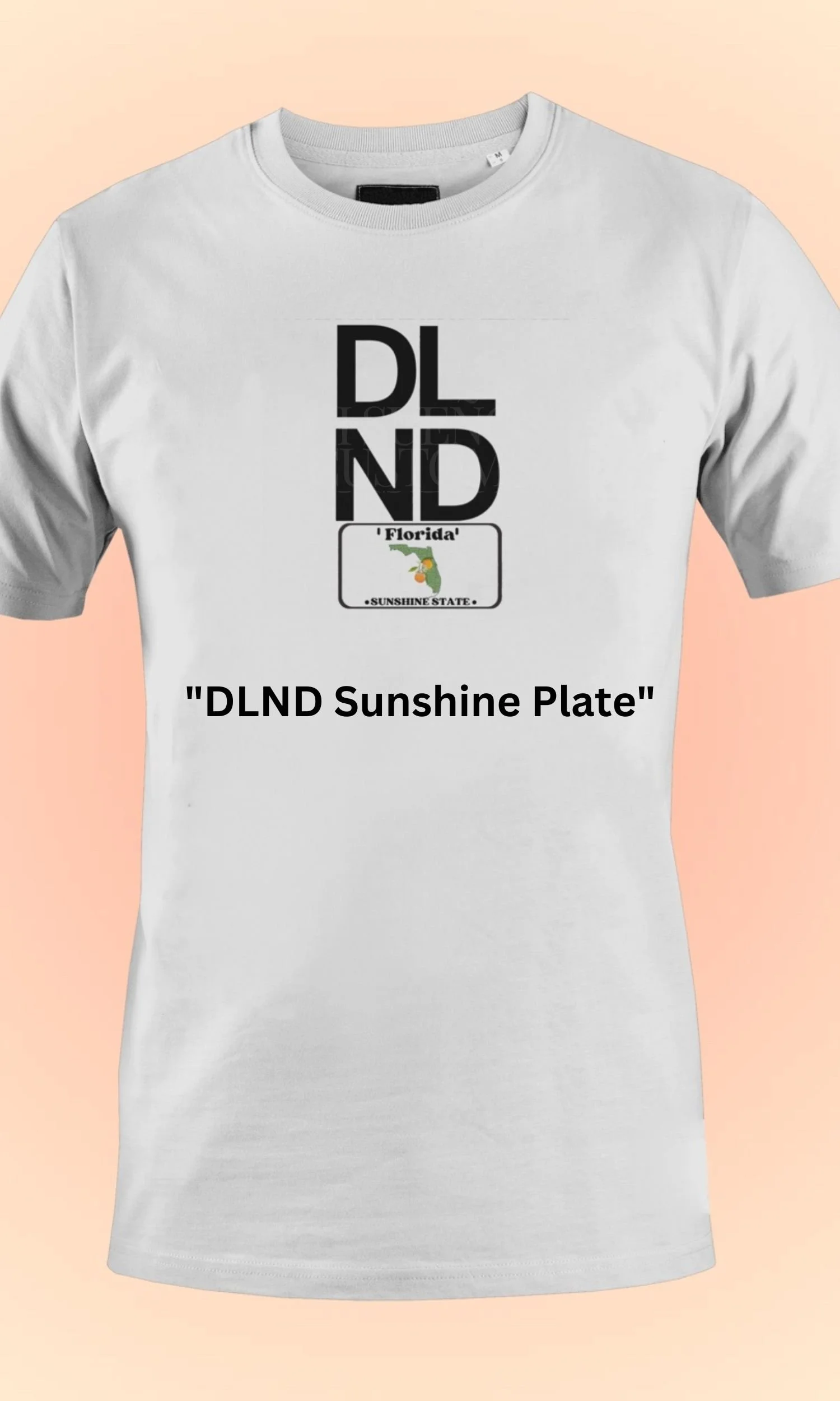 DLND Sunshine Plate Tee, Florida T-Shirt, Sunshine State Apparel, DLND Collection, Unisex Tee, Florida Souvenir, Mi Sueños Customs, Casual Wear, Trendy T-Shirts, Made to Order Clothing