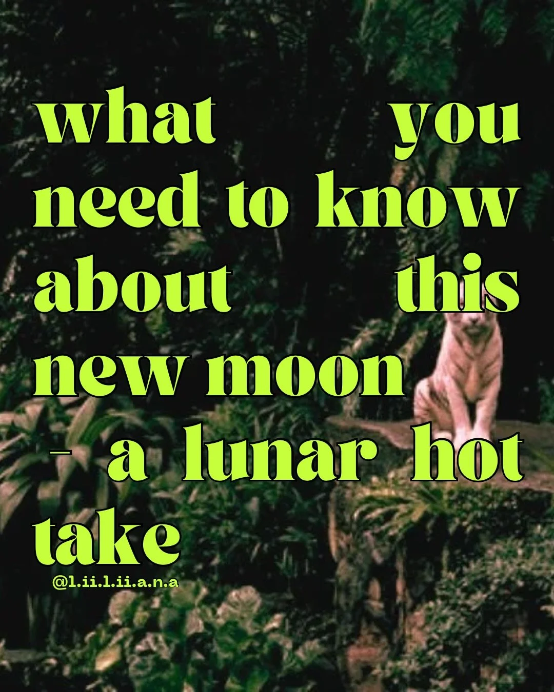 Hi hi cuties!  Today we&rsquo;ve got a 🌚 New Moon in Aquarius! Not sure how to navigate it? Don&rsquo;t  worry, I got chu with my monthly &lsquo;What You Need To Know Lunar Series&rsquo;. As always thanks for being here bb. 

Xx
Liliana