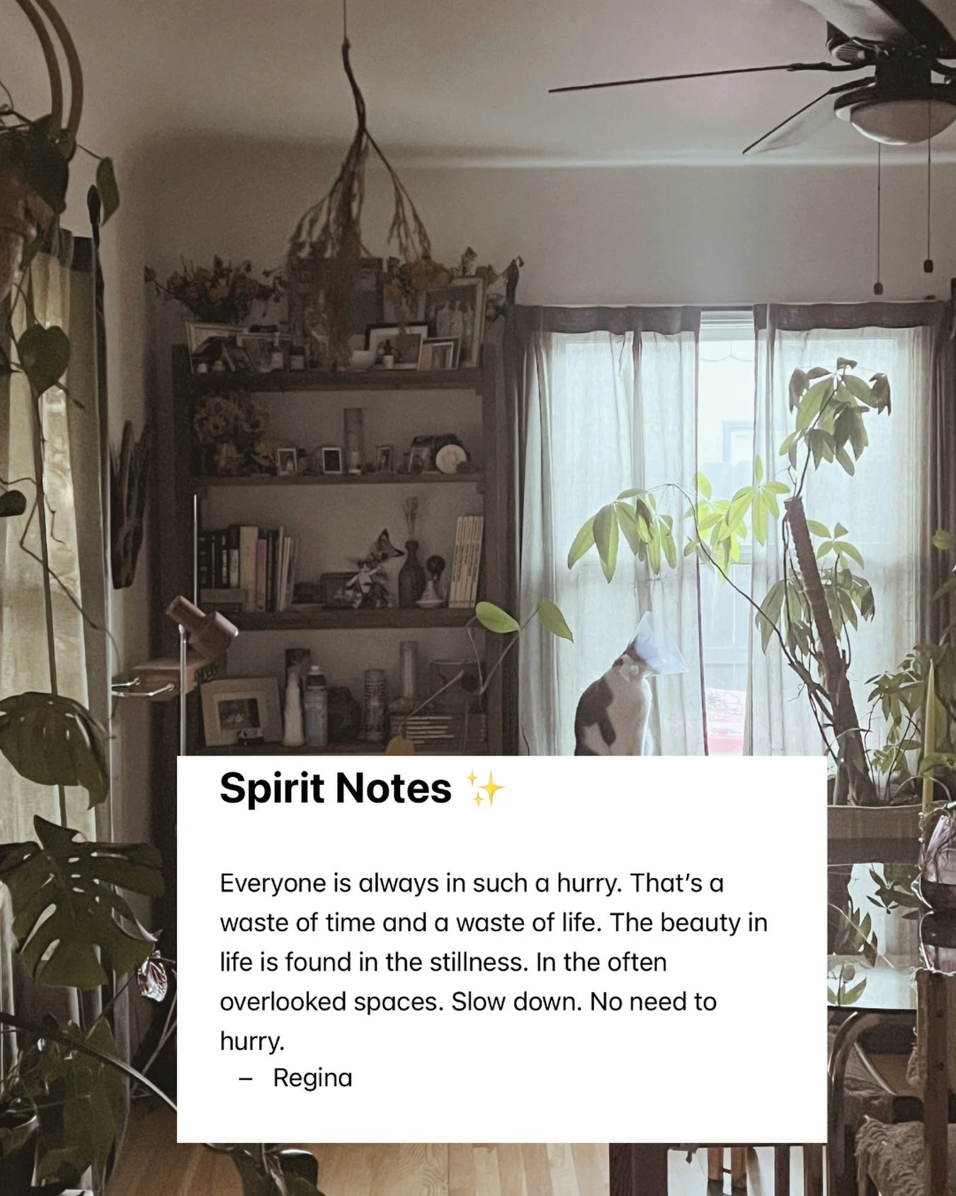 ✨Spirit Notes✨

I decided to start writing down what my spirits share with me in notes instead of jotting them on pieces of paper because I always misplace them 🫠. Today, I share with you a message from one of my guides, Regina. I think we can all u