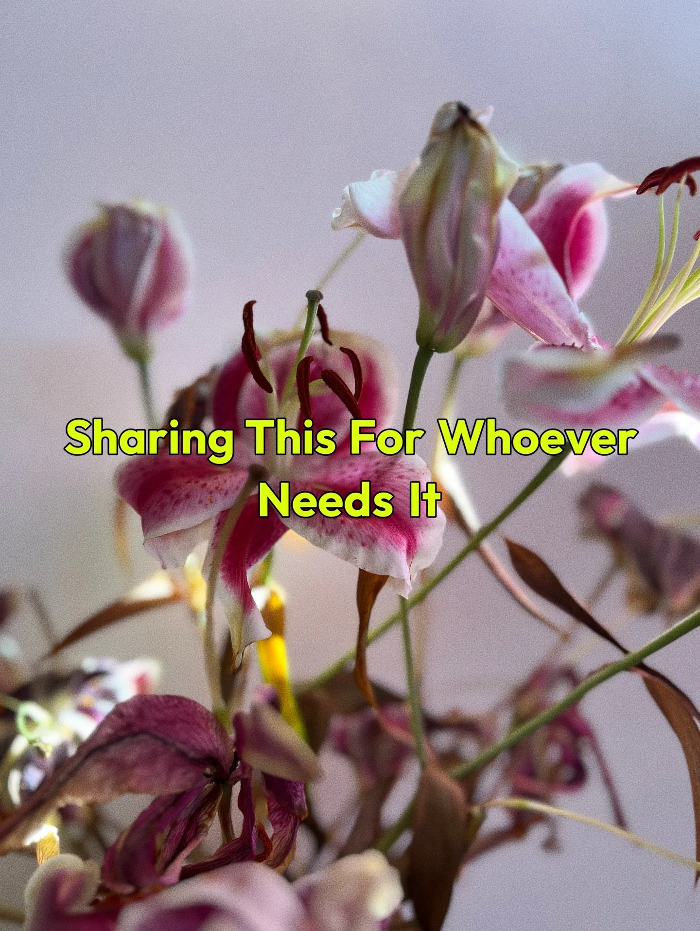 April has been haarrrd ya&rsquo;ll, and this Aries season kicked my booty. If you too have been sitting with big feelings, moving through choppy waters, or just trying to keep your head above it all&hellip; I see you.  I want to share a few excerpts 