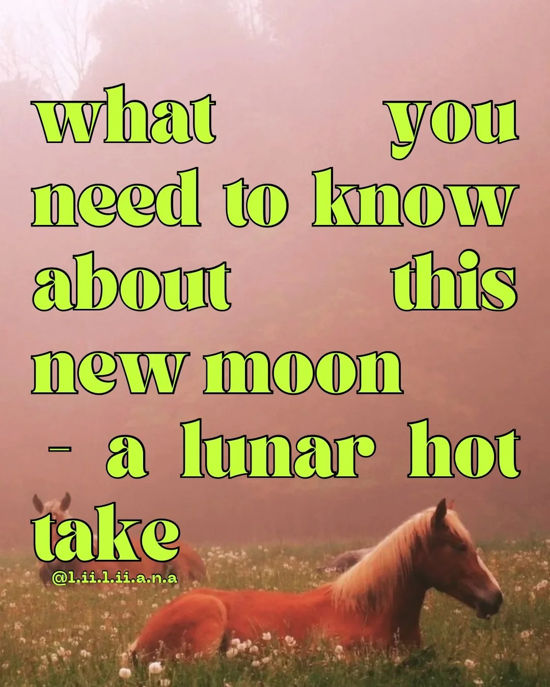 Hi hi cuties!  We&rsquo;ve got a 🌚 New Moon in Taurus tomorrow. Not sure how to navigate it? Don&rsquo;t  worry, I got chu with my monthly &lsquo;What You Need To Know Lunar Series&rsquo;. As always thanks for being here bb. 

Xx
Liliana