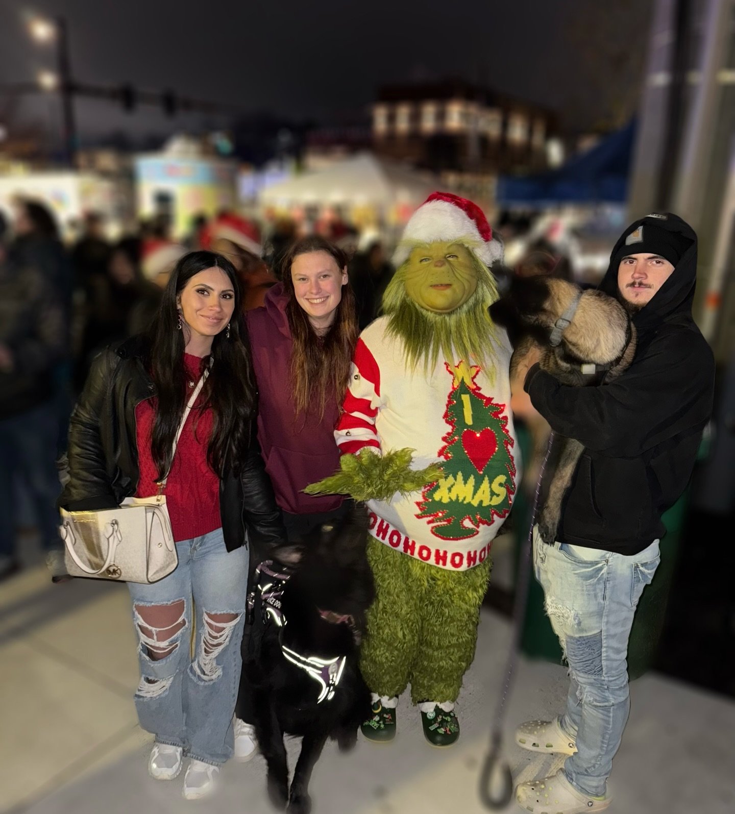 Our pups weren&rsquo;t too sure about the Grinch 😂 #christmas #grinch #grinchmas #family