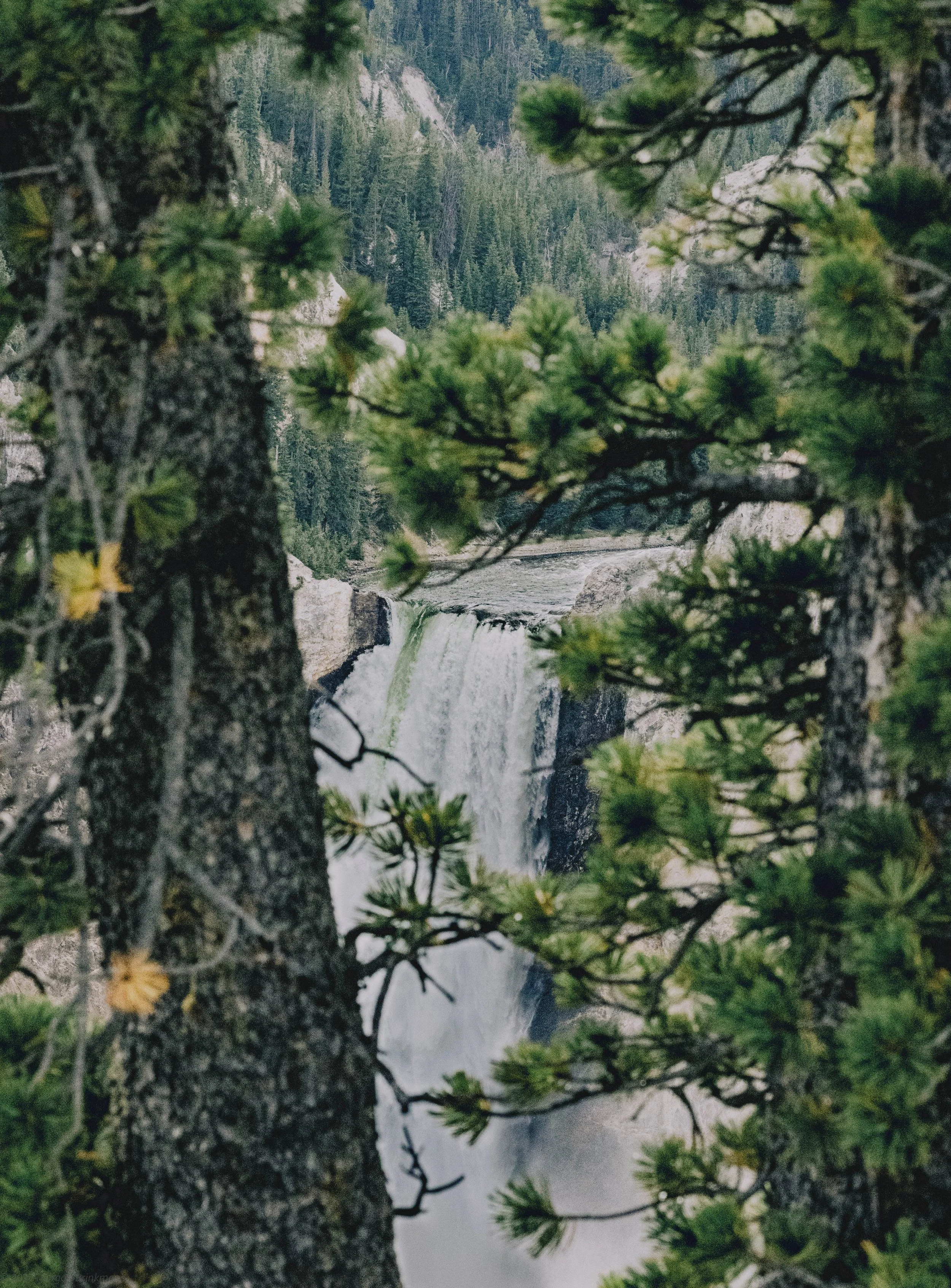 Original-9.jpg