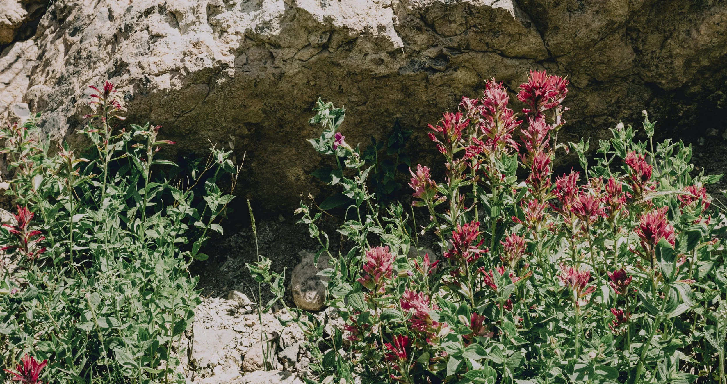 Original-5.jpg