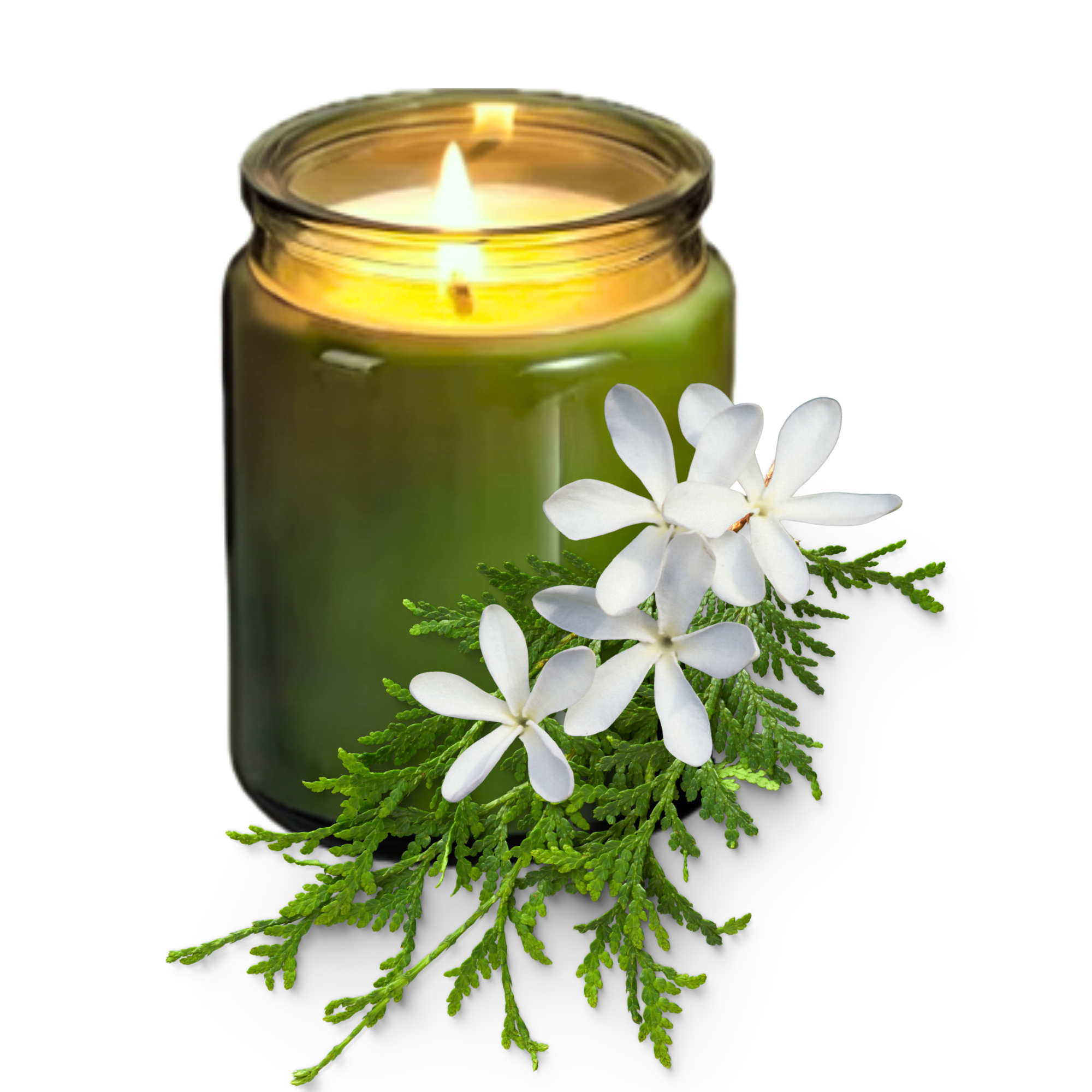 Moon Grove Essential Oil Candle