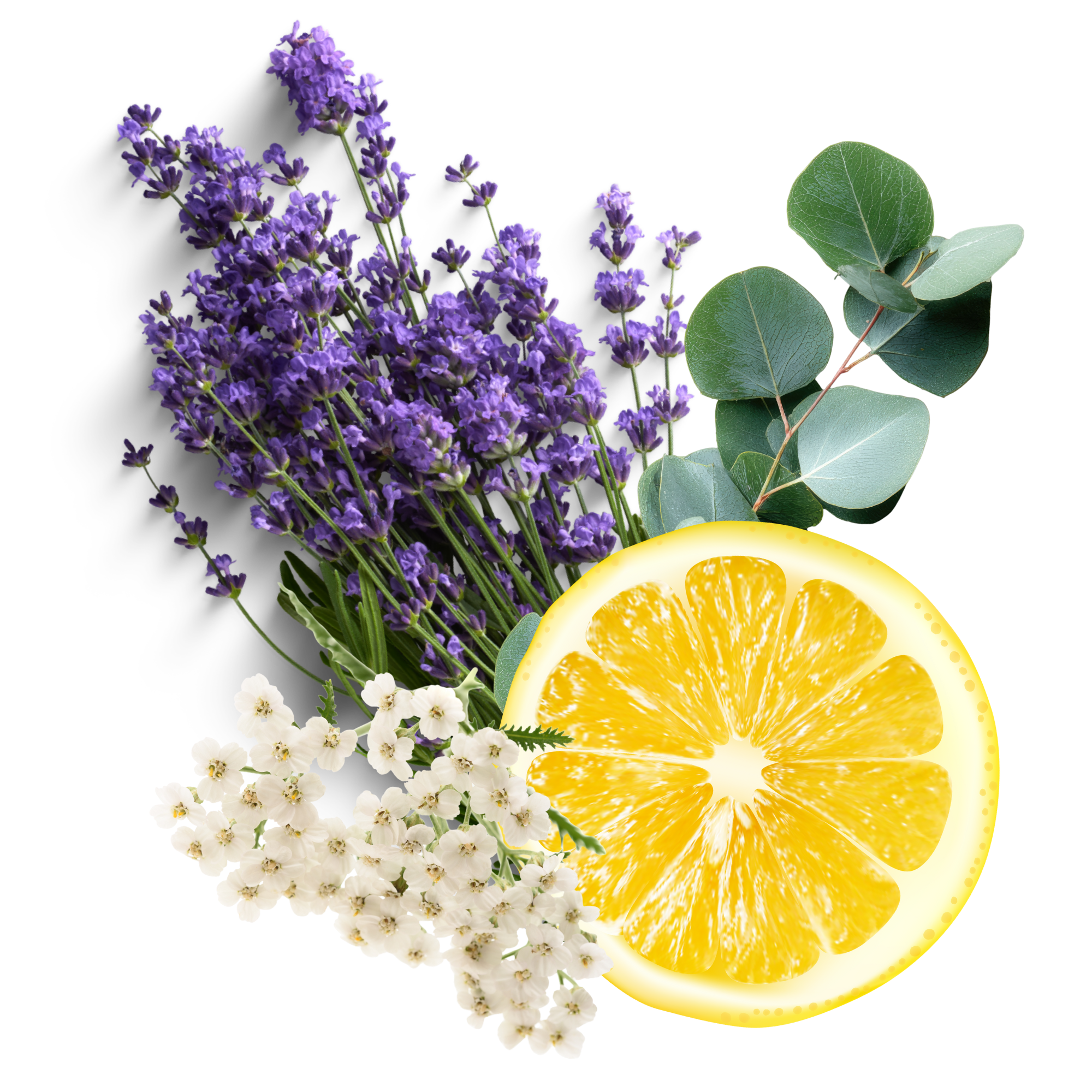 "Solar Bloom" Rejuvenating Lavender & Lemon Peel Facial Steam (4 oz)