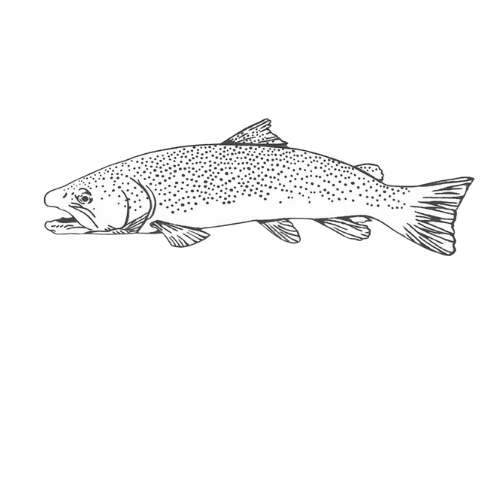 Off The Grid Therapy