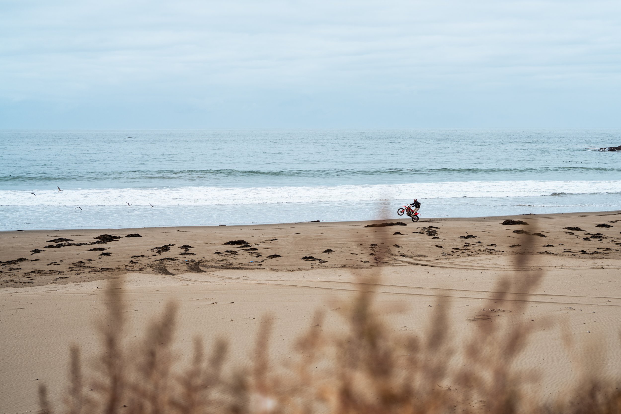 baja moto trip guy on red dirtbike doing a wheelie next to the shoreline
