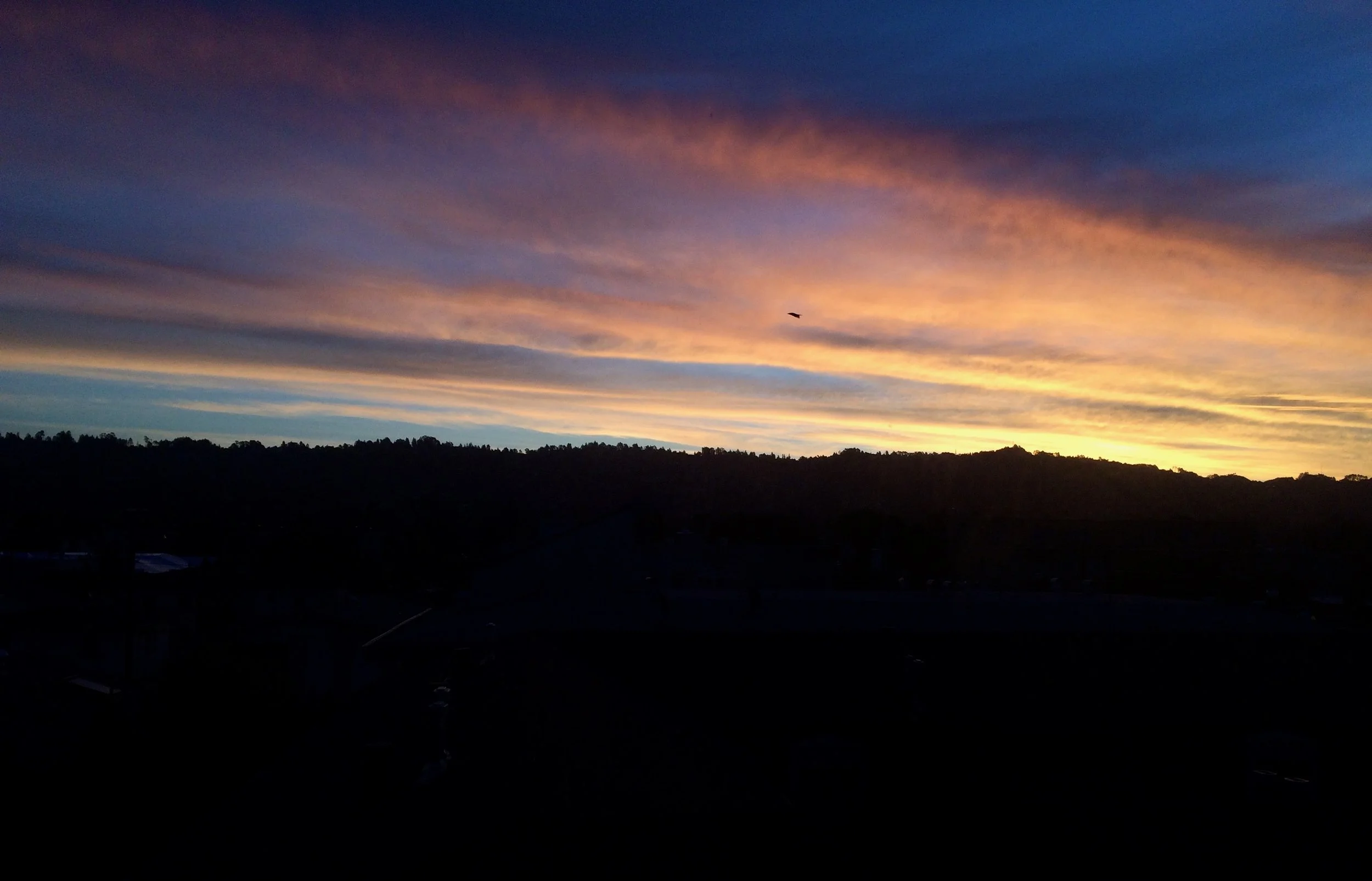 sunrise
