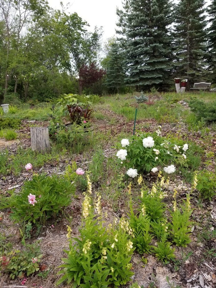 Why Choose to Write (When You Could Be Gardening)?