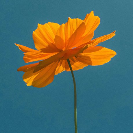 Earth Day at Eileen Fisher with Salt of the North