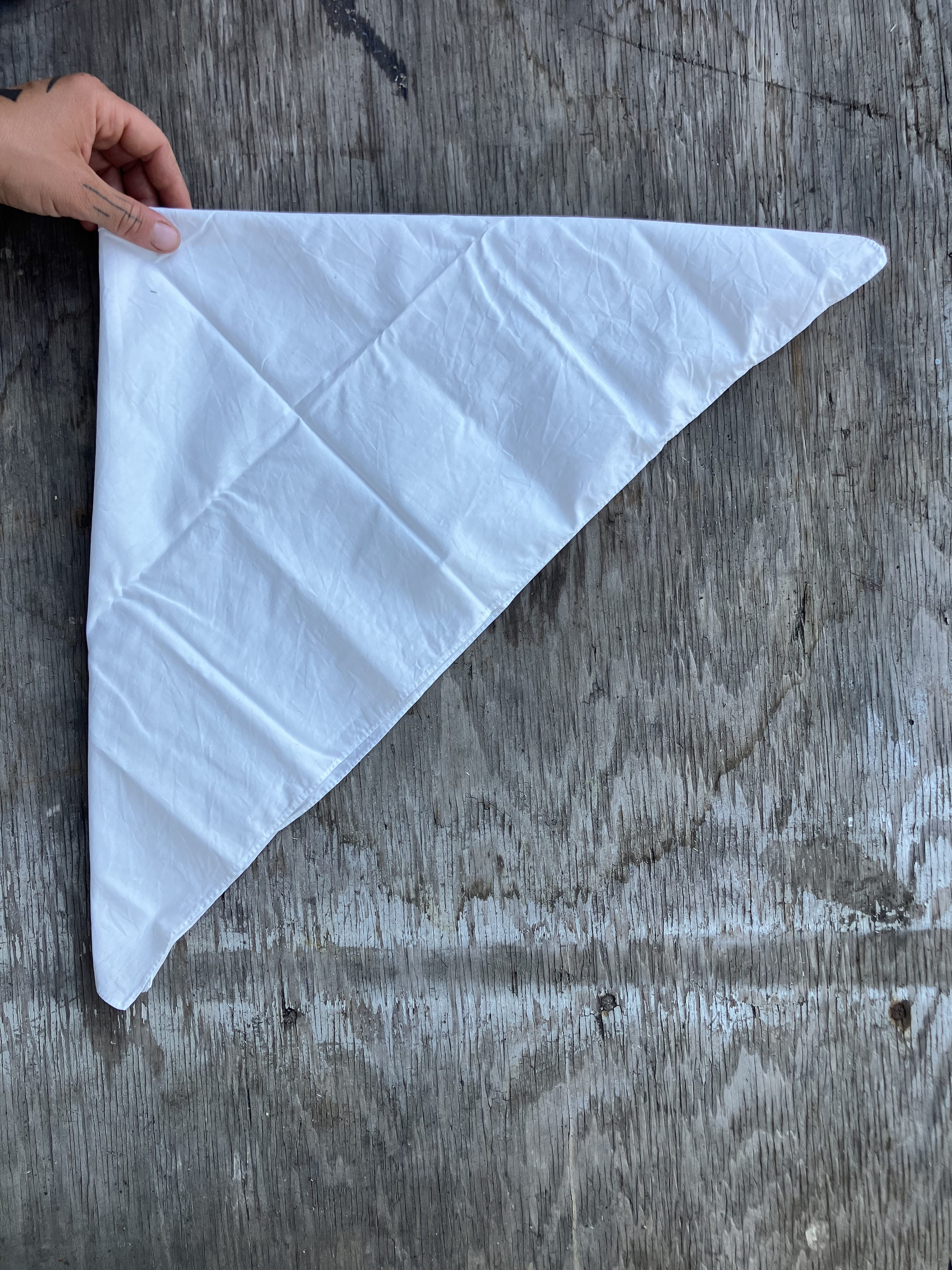 Mordanted bandana 3.png