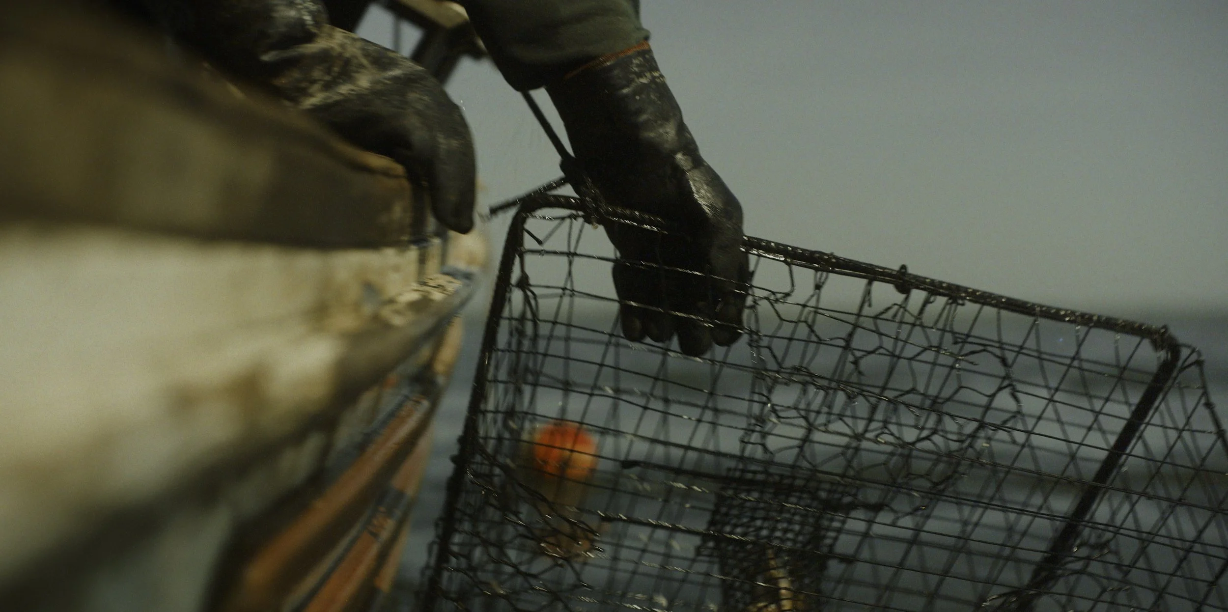VESSEL_17_CROP.jpg