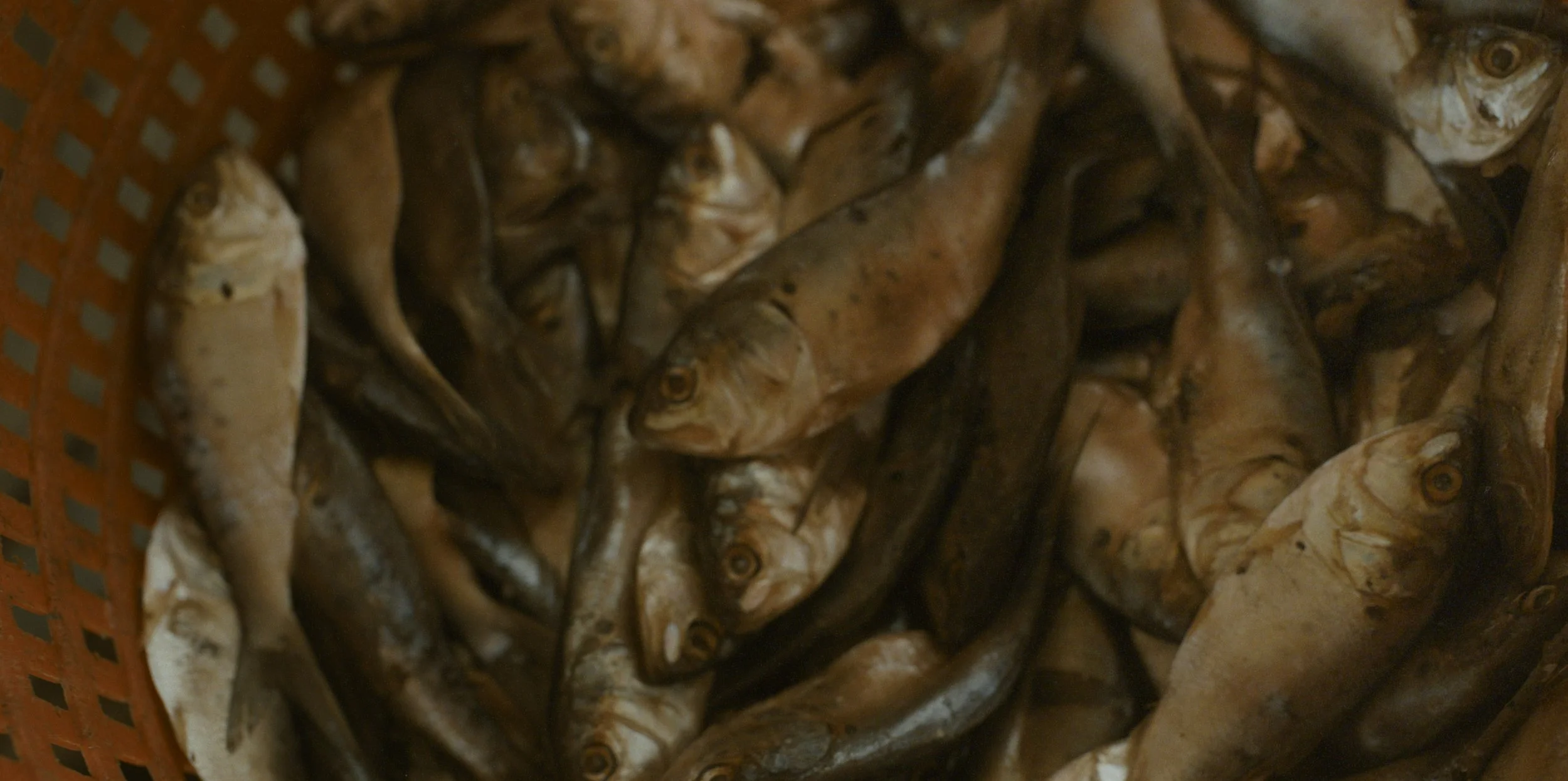 VESSEL_24_CROP.jpg