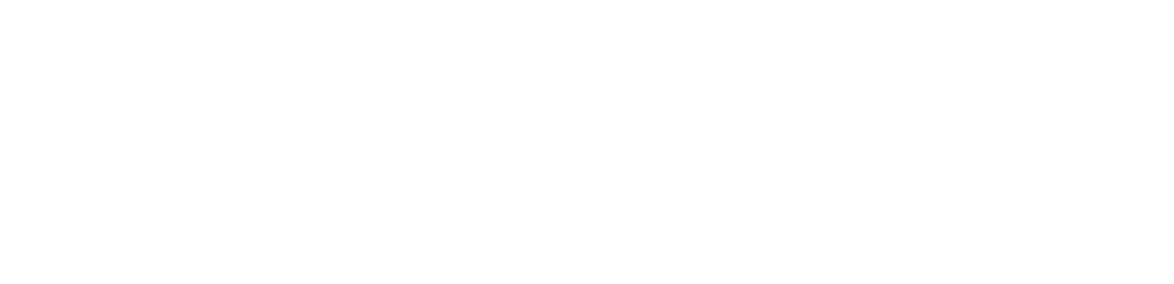 Lost Witness Films