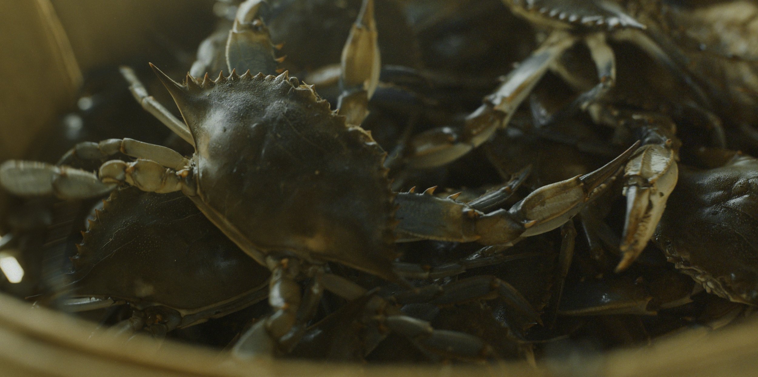 VESSEL_06_CROP.jpg