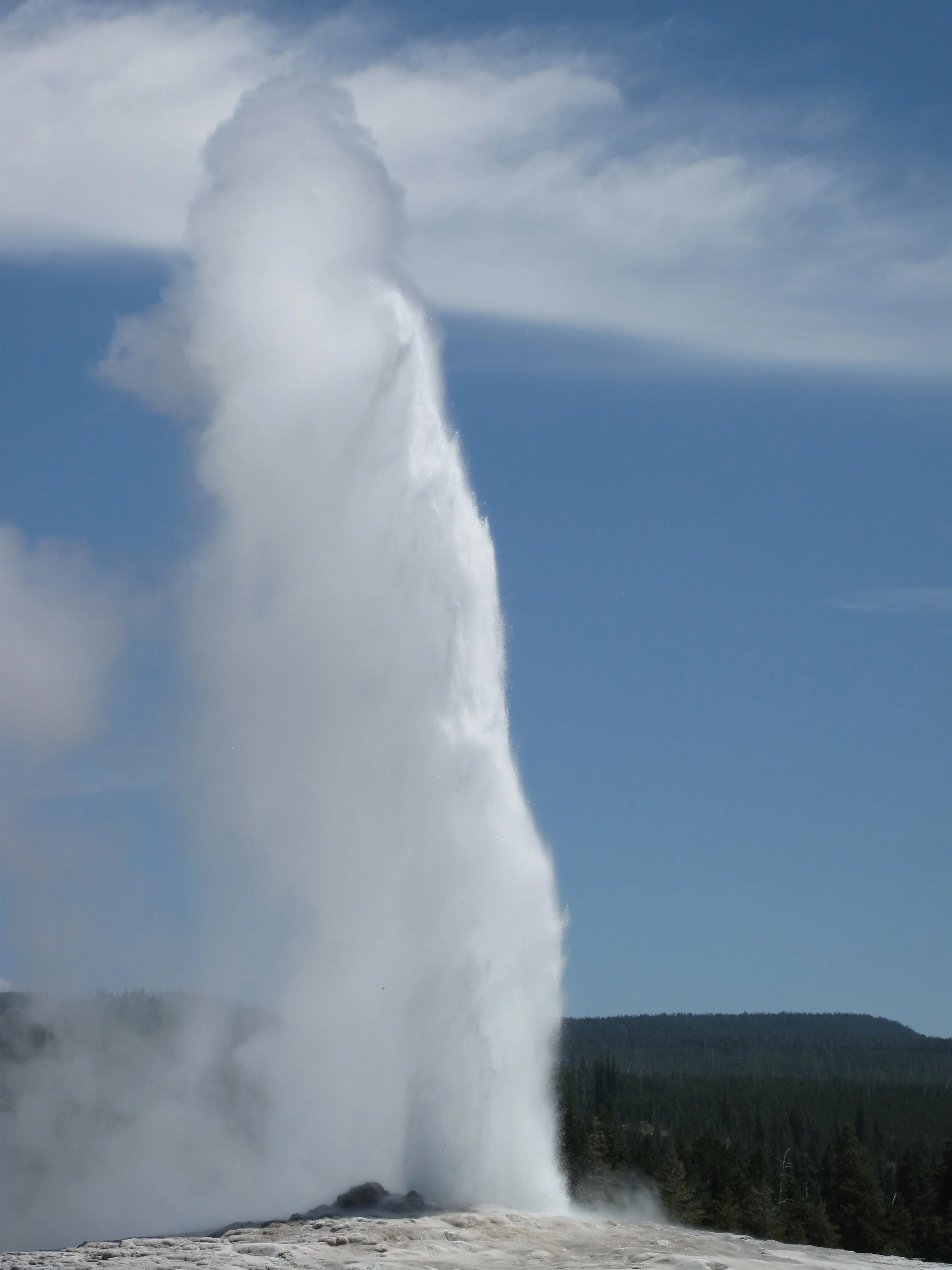 A large geyser erupting with a tall column of water and steam against a blue sky and distant trees.