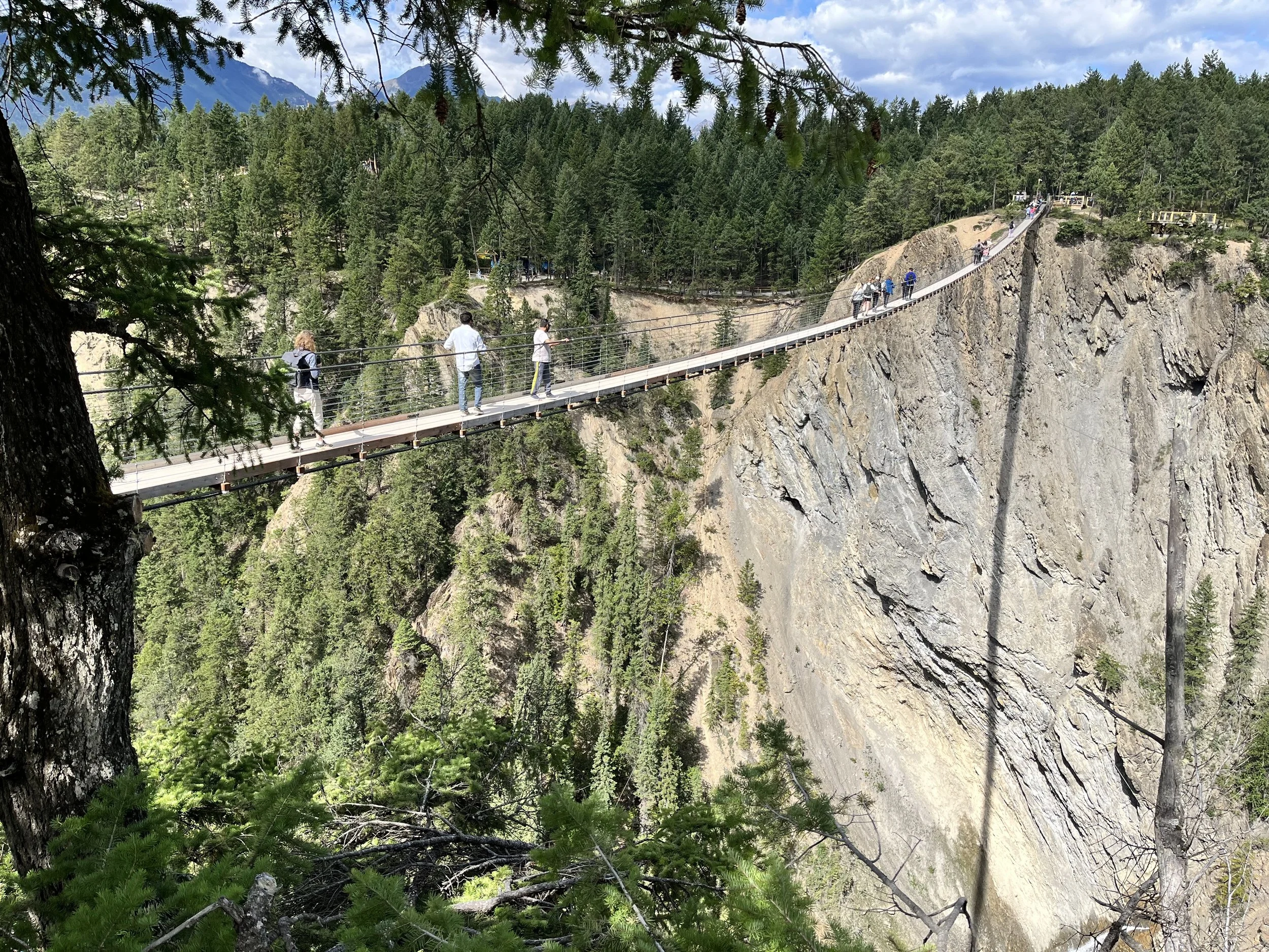 People walking on a suspension bridge over a deep canyon, surrounded by pine trees and mountain scenery.