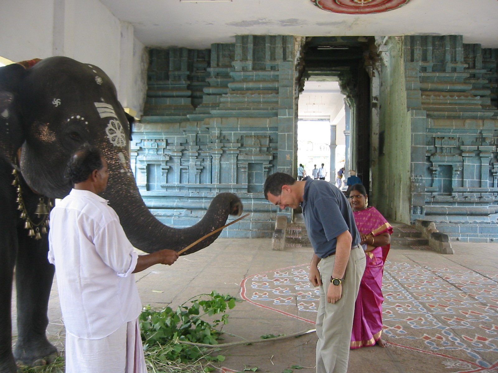 A man bowing in front of an elephant and its mahout inside a temple or palace. The elephant has decorative markings on its head, with bells around its neck.