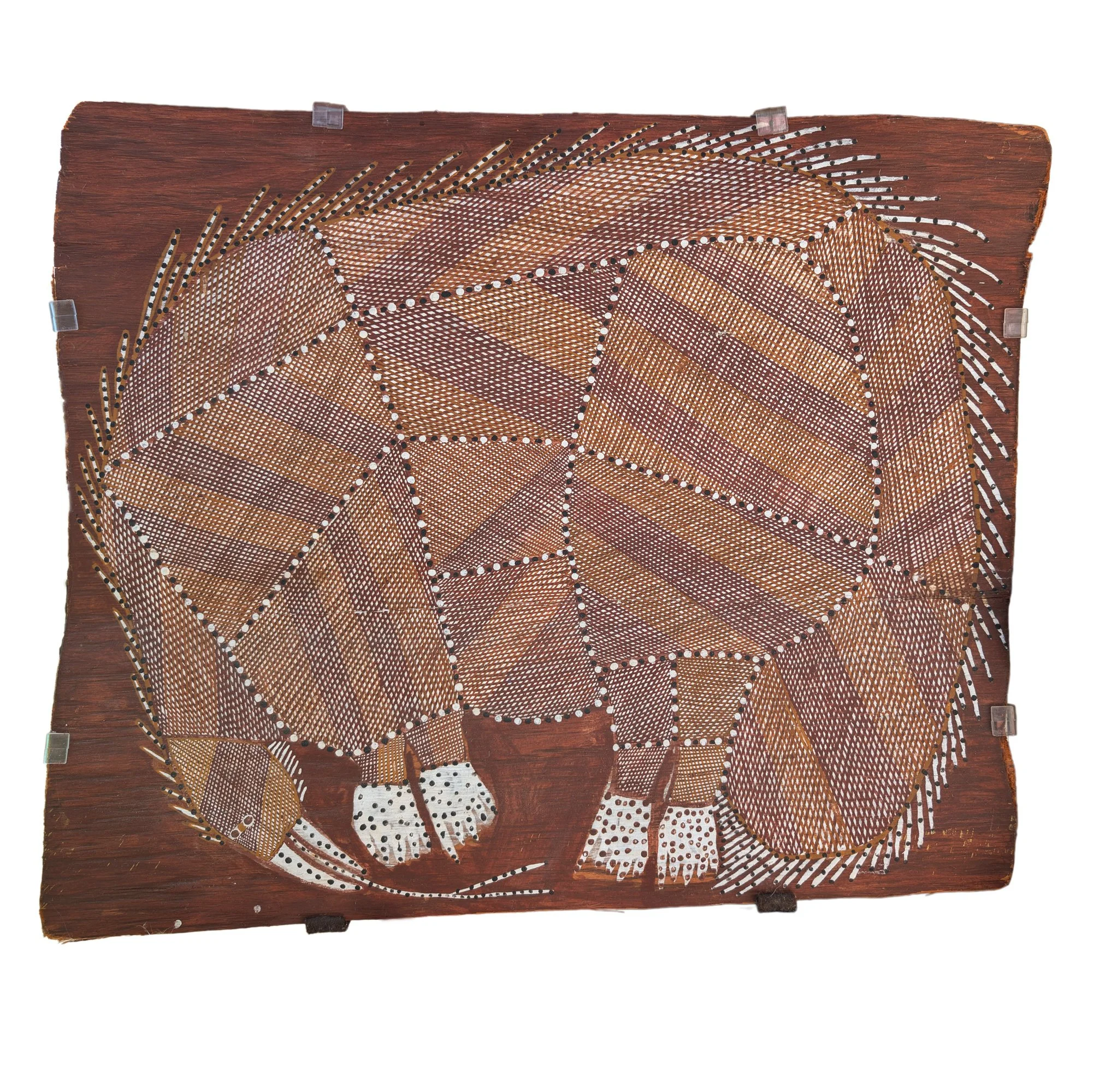 Lot 7 | PETER MARRALWANGA (1916 – 1987) | Echidna | c. 1979 | natural earth pigments on bark, 49 x 57 cm | Est. AUD $3,000 - $5,000