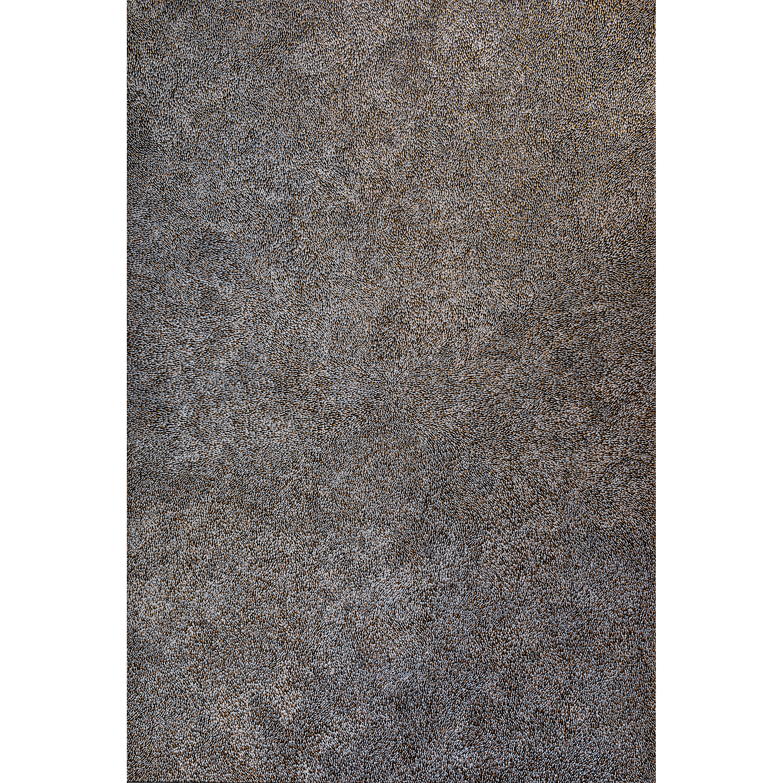 PXL_20250429_041414392.RAW-01.COVER~2.png