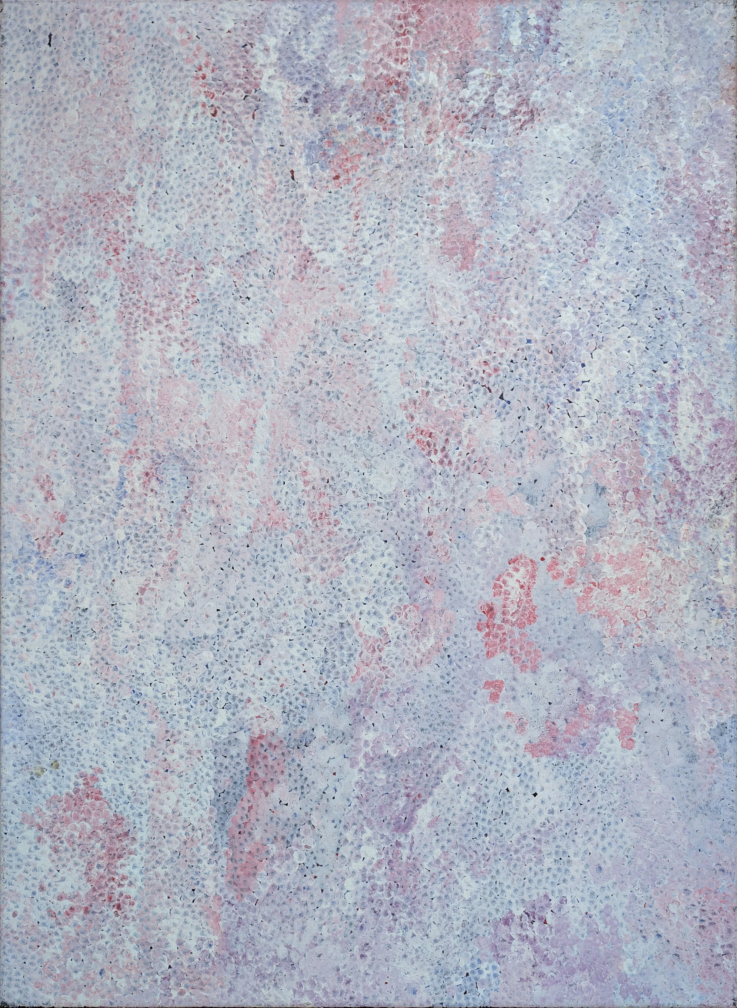 KATHLEEN NGALE (1930 - 2021)
Arnwekety - Bush Plum , 2009